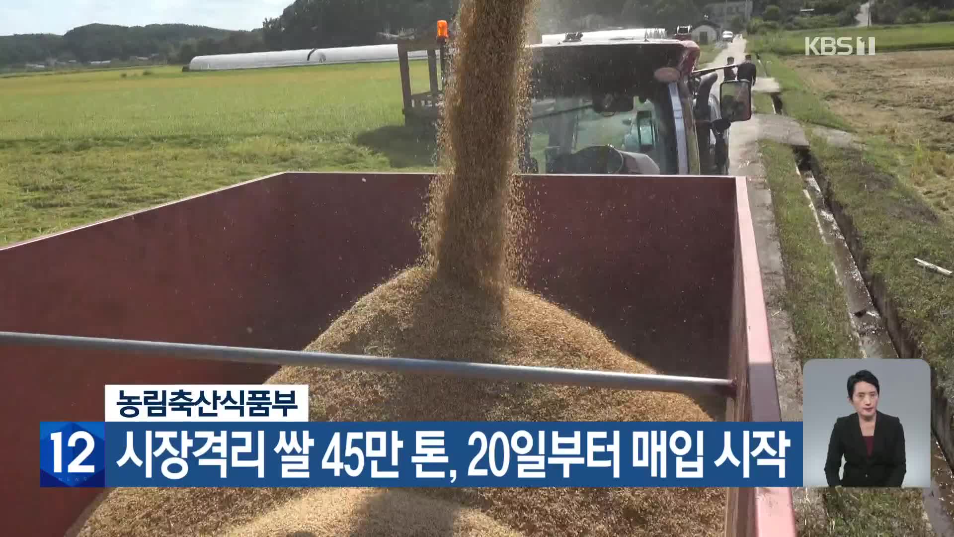 농림축산식품부, 시장격리 쌀 45만 톤 20일부터 매입 시작