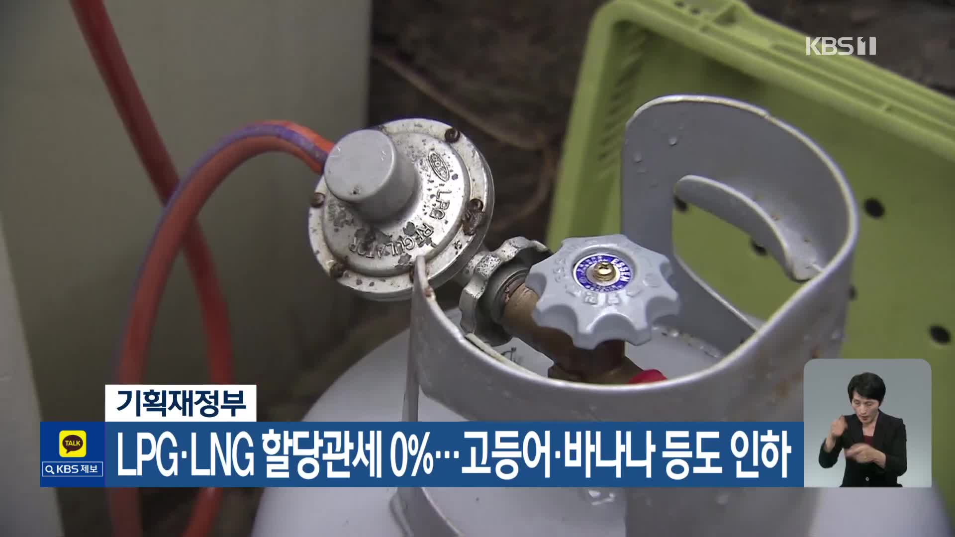 LPG·LNG 할당관세 0%…고등어·바나나 등도 인하