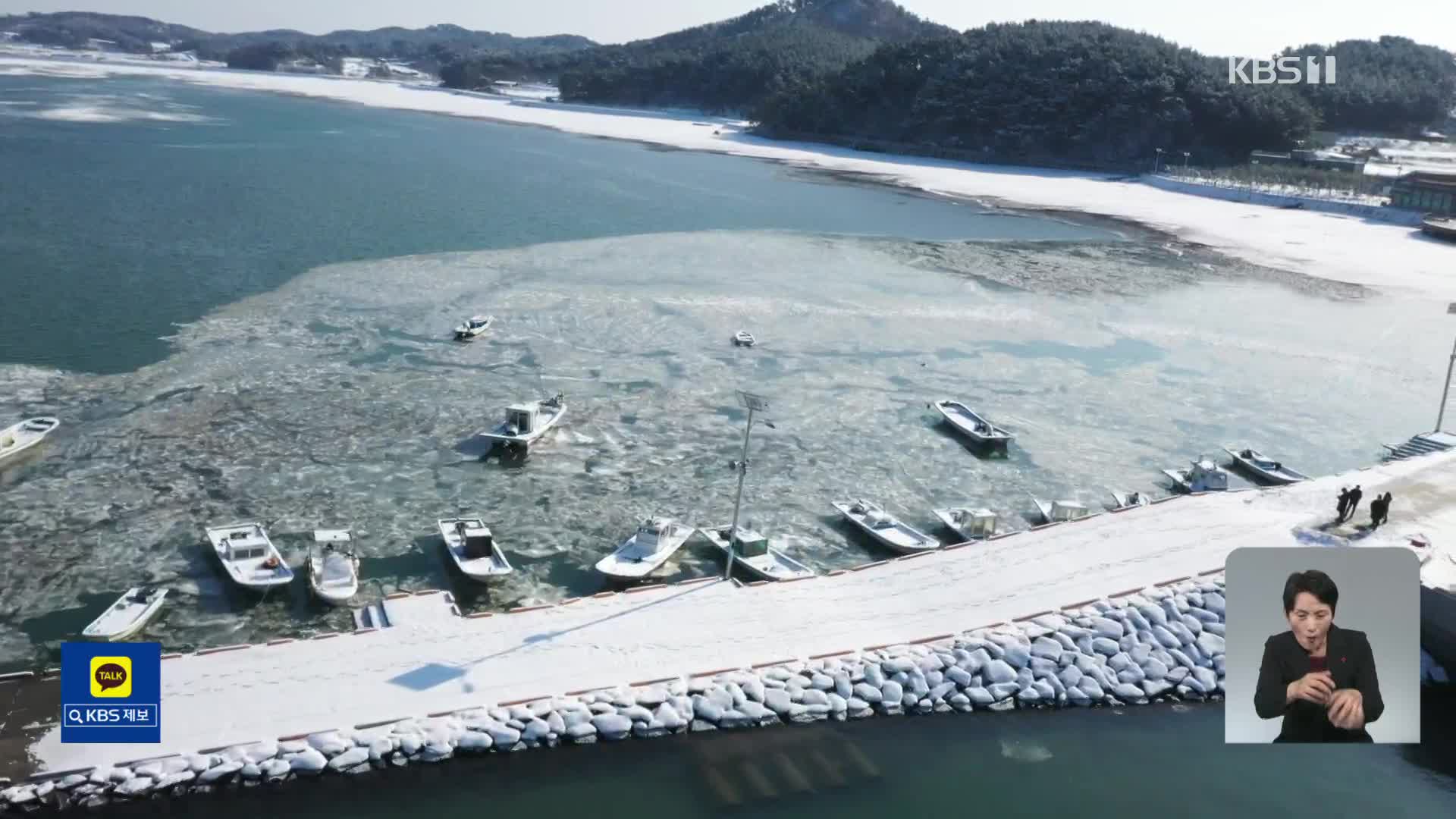 바다도 얼었다…양식어민 ‘발 동동’