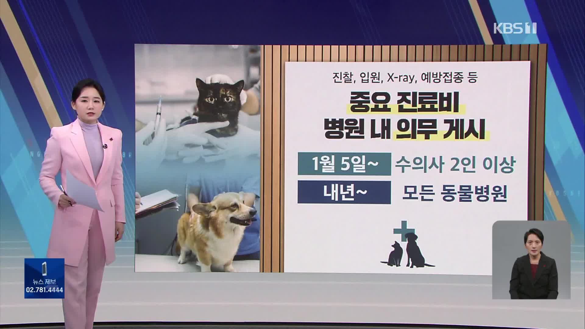 [친절한 뉴스K] 반려동물 연 12만 마리 유기…진료비 공개 시작