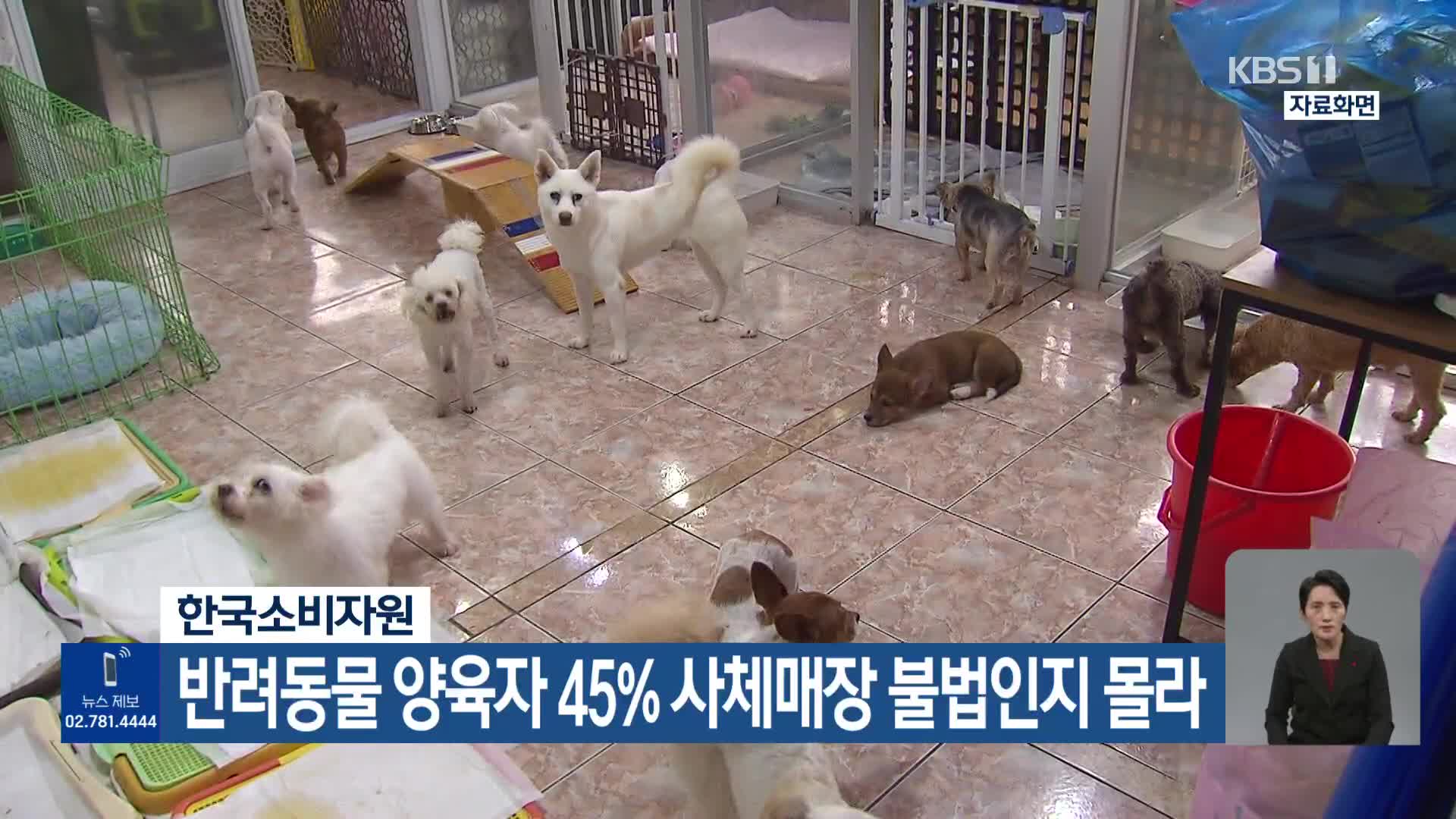 한국소비자원, 반려동물 양육자 45% 사체매장 불법인지 몰라