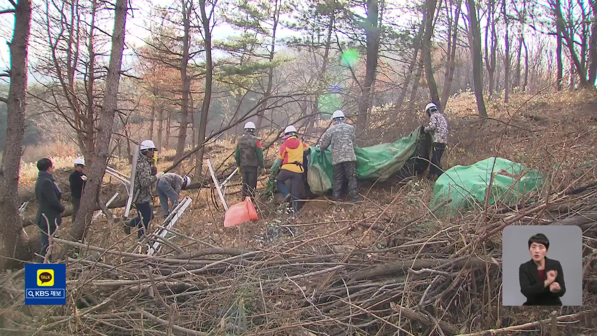 소나무재선충병 증가세…‘항공 방제’ 대신 ‘정밀 타격’