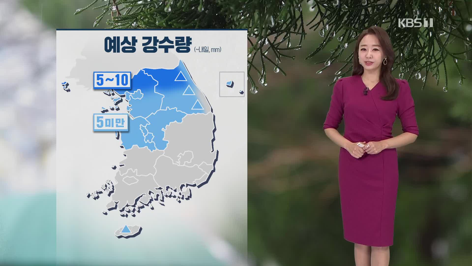 [오후날씨 꿀팁] 중부, 비 조금…영동·영남 화재 주의!