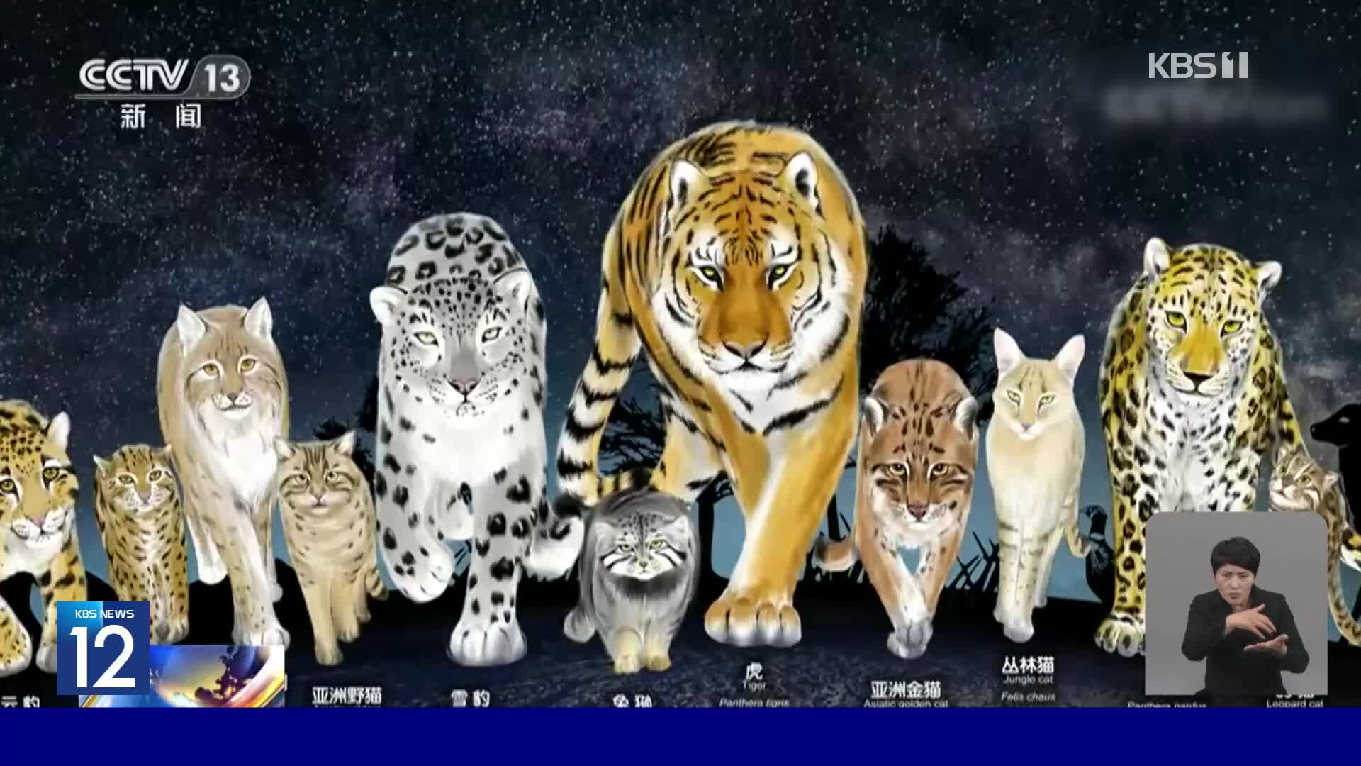 중국, 고양잇과 동물 12종으로 세계 2위