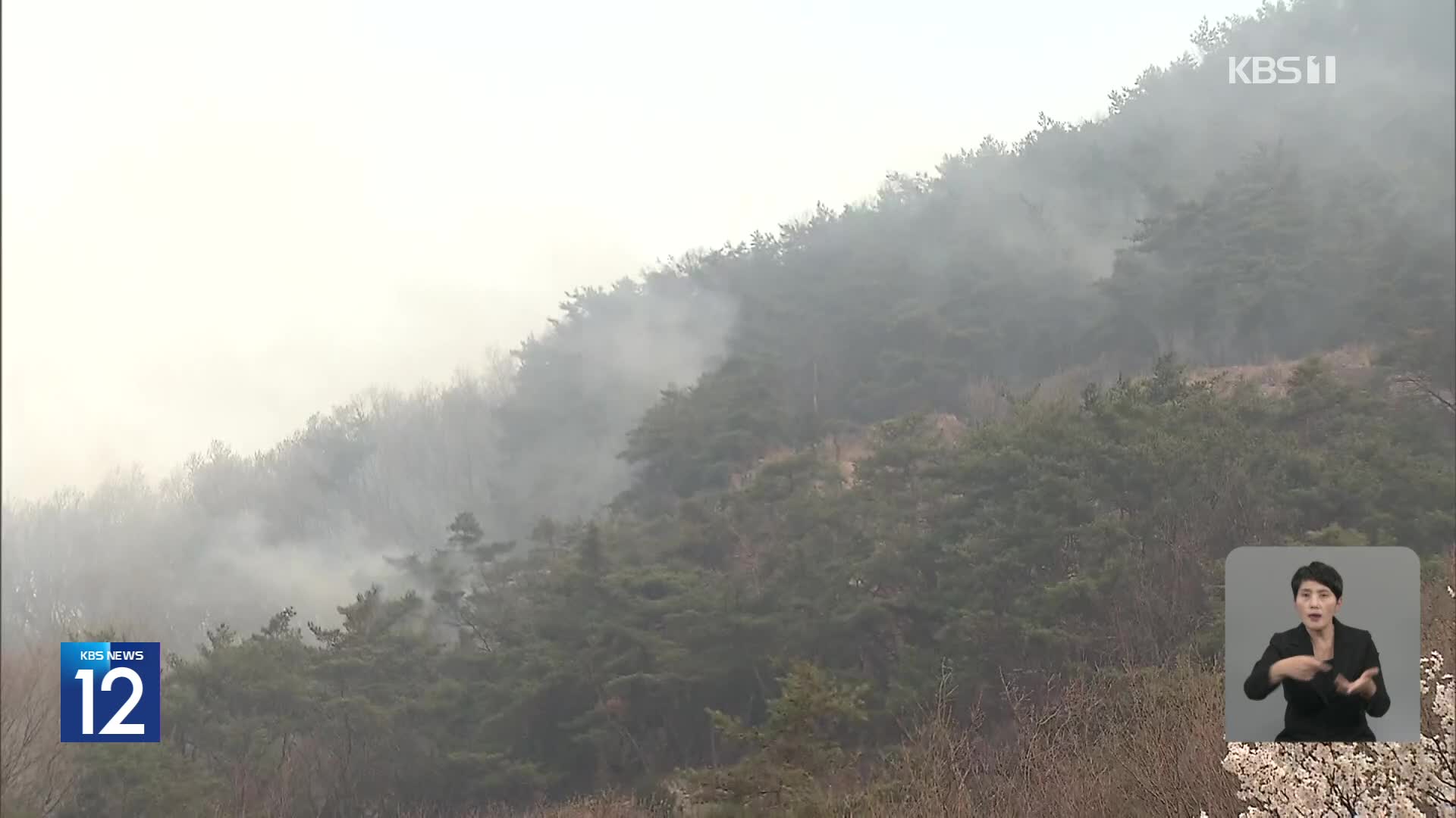 홍성 산불 확산에 주민 대피…헬기 진화 중