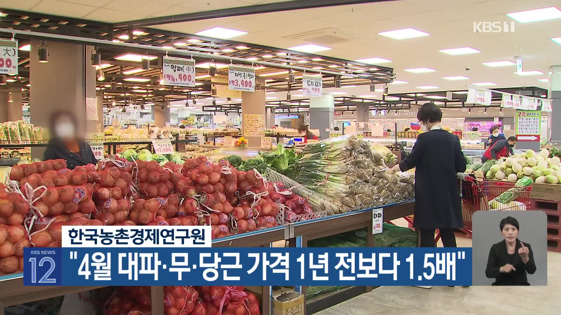 한국농촌경제연구원 “4월 대파·무·당근 가격 1년 전보다 1.5배”