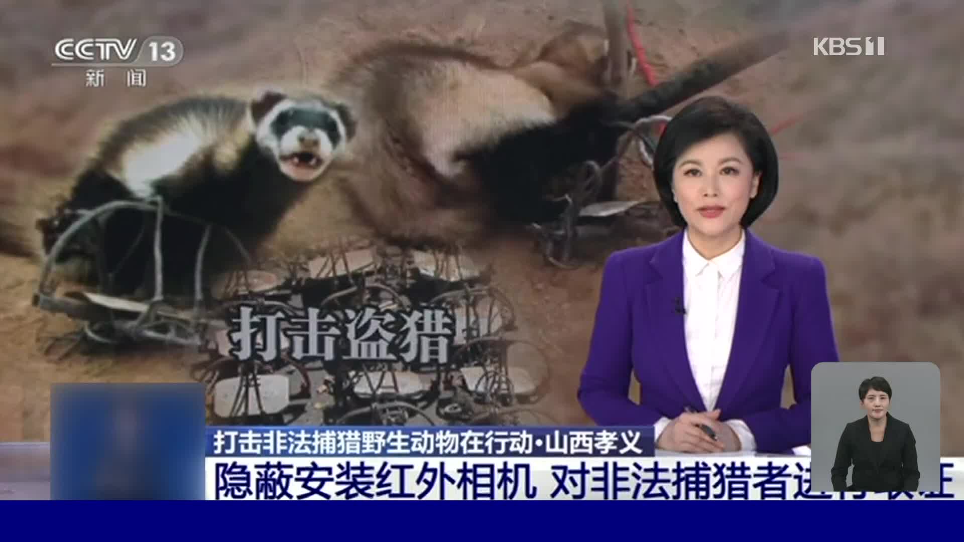 중국, 야생동물 밀렵 여전히 기승