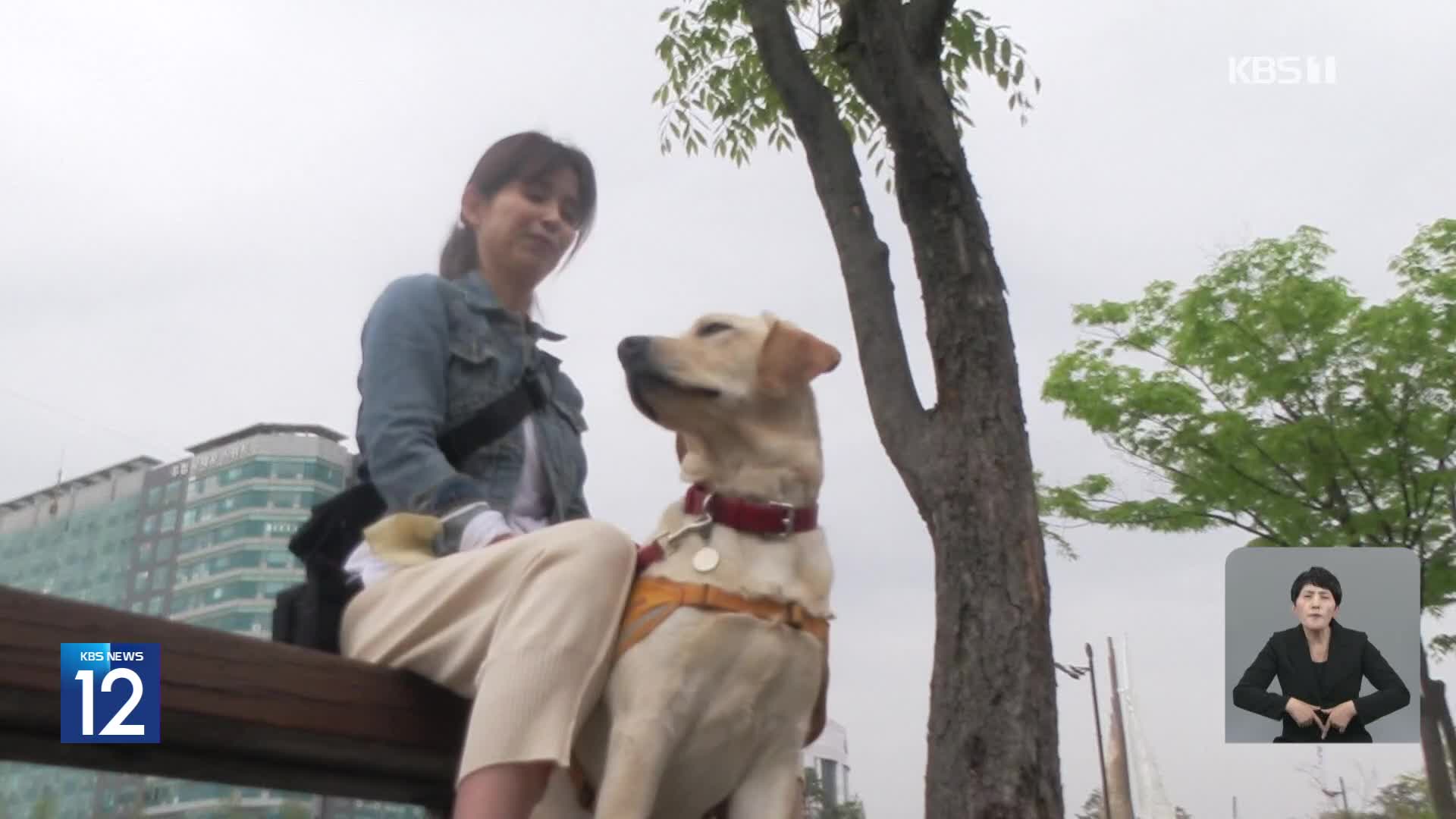 “장애인 보조견, 놀라지 말고 배려해 주세요”