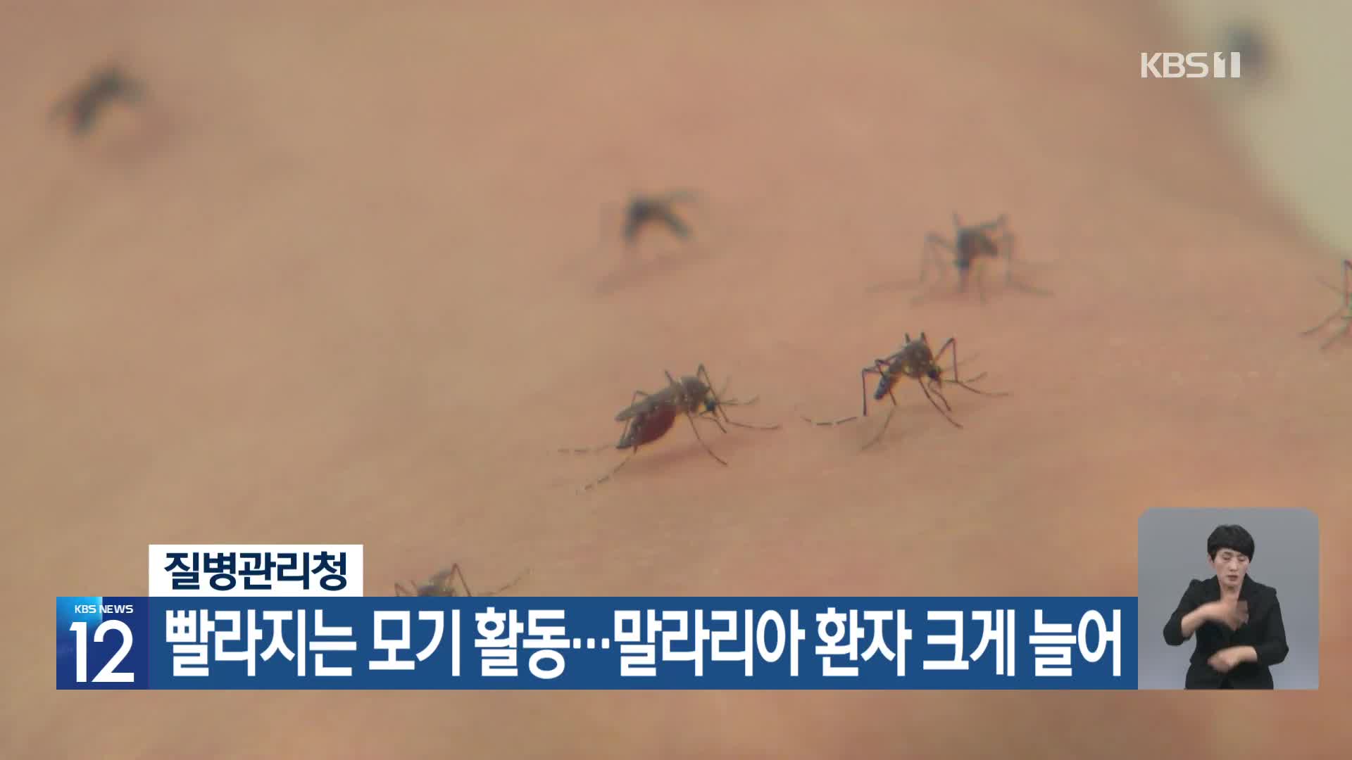 [기후는 말한다] 질병관리청 빨라지는 모기 활동, 말라리아 환자 크게 늘어