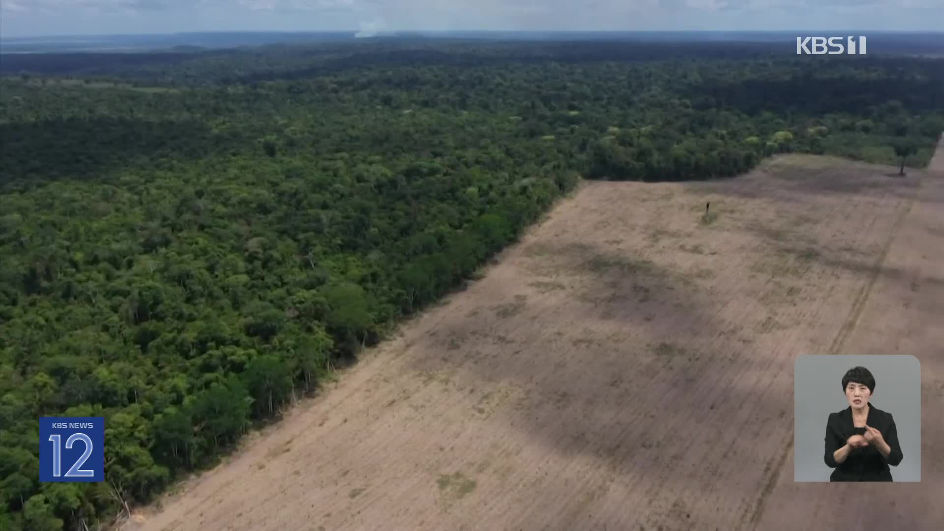 [기후는 말한다] ‘아마존 밀림’ 볼 수 있는 건 현 세대가 마지막?