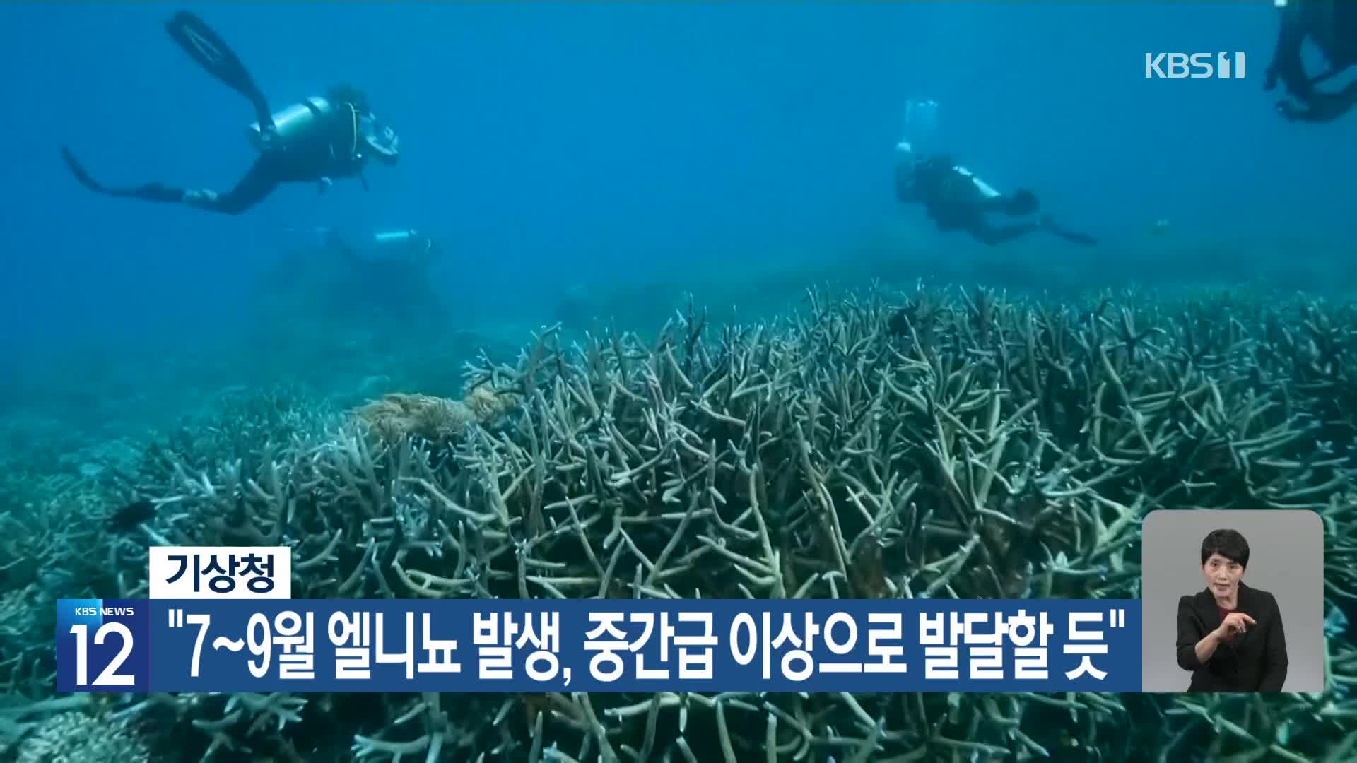 [기후는 말한다] “7~9월 엘니뇨 발생, 중간급 이상으로 발달할 듯”