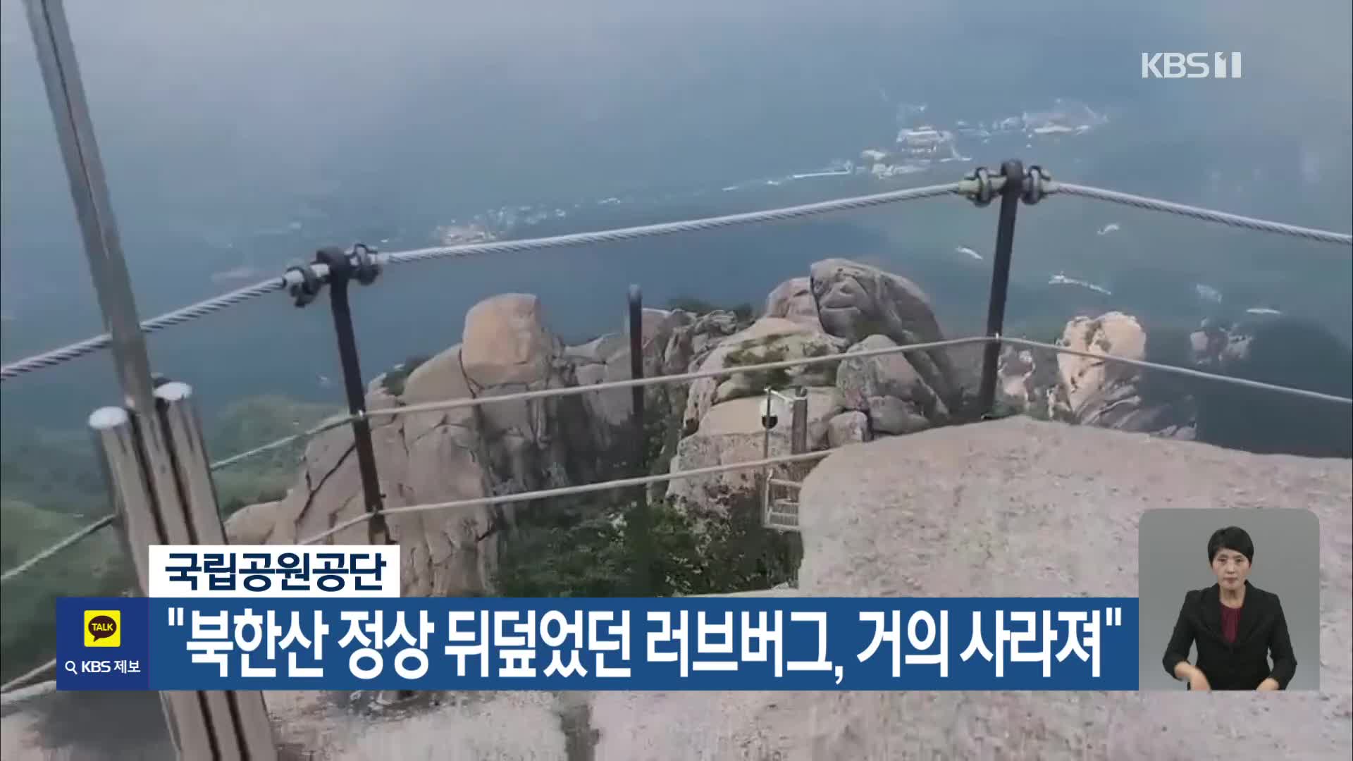 [기후는 말한다] 국립공원공단 “북한산 정상 뒤덮었던 러브버그, 거의 사라져”