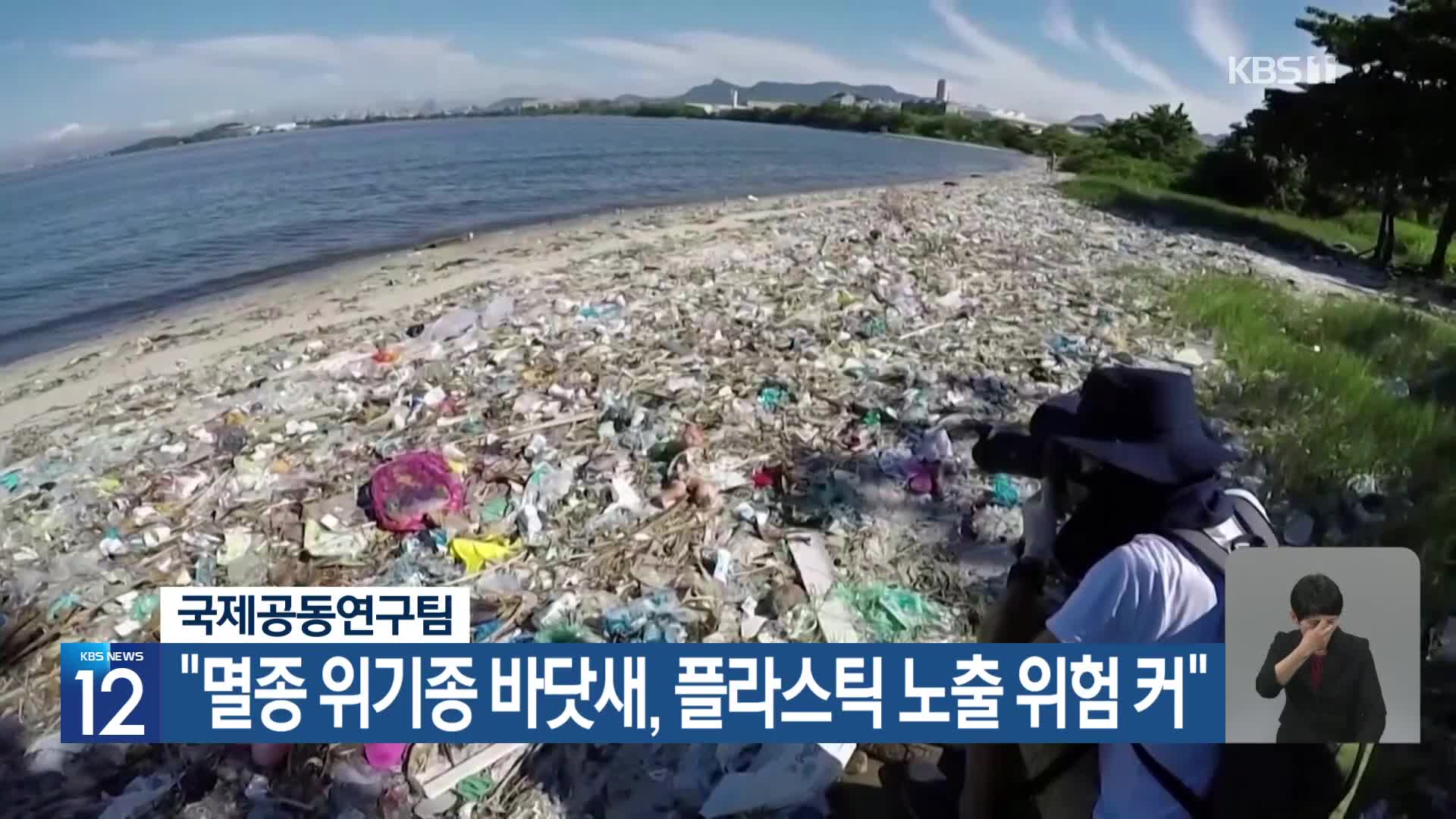 [기후는 말한다] 국제공동연구팀 “멸종 위기종 바닷새, 플라스틱 노출 위험 커”