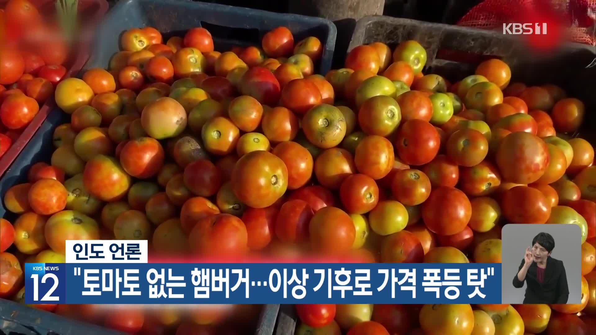 [기후는 말한다] 인도 언론 “토마토 없는 햄버거…이상 기후로 가격 폭등 탓”