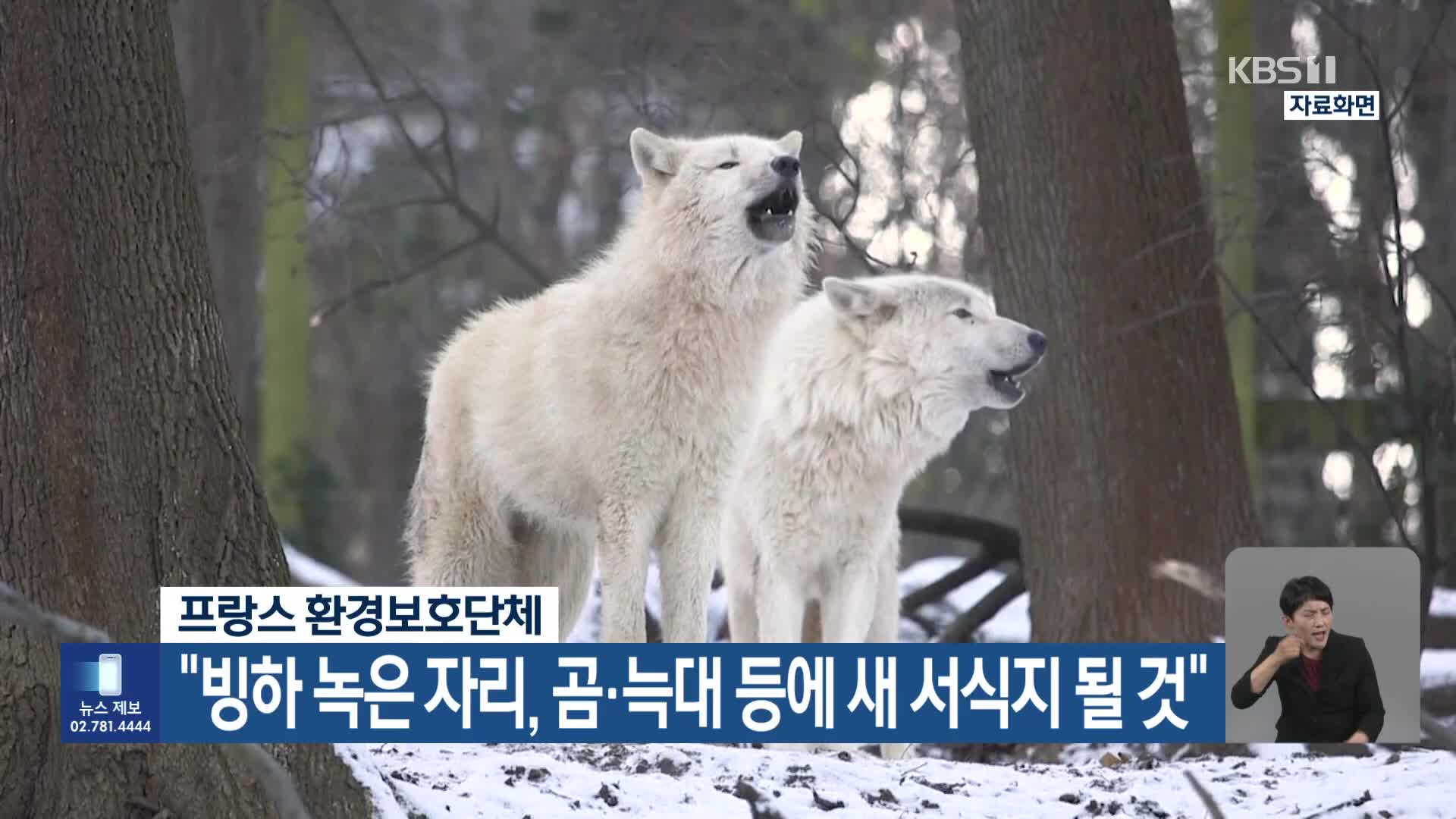 [기후는 말한다] 프랑스 환경보호단체 “빙하 녹은 자리, 곰·늑대 등에 새 서식지 될 것”