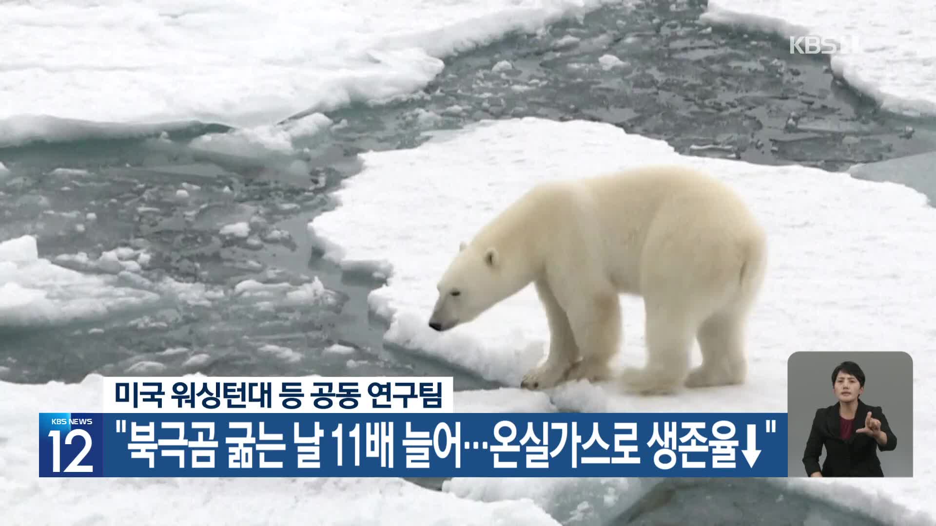 [기후는 말한다] “북극곰 굶는 날 11배 늘어…온실가스로 생존율↓”