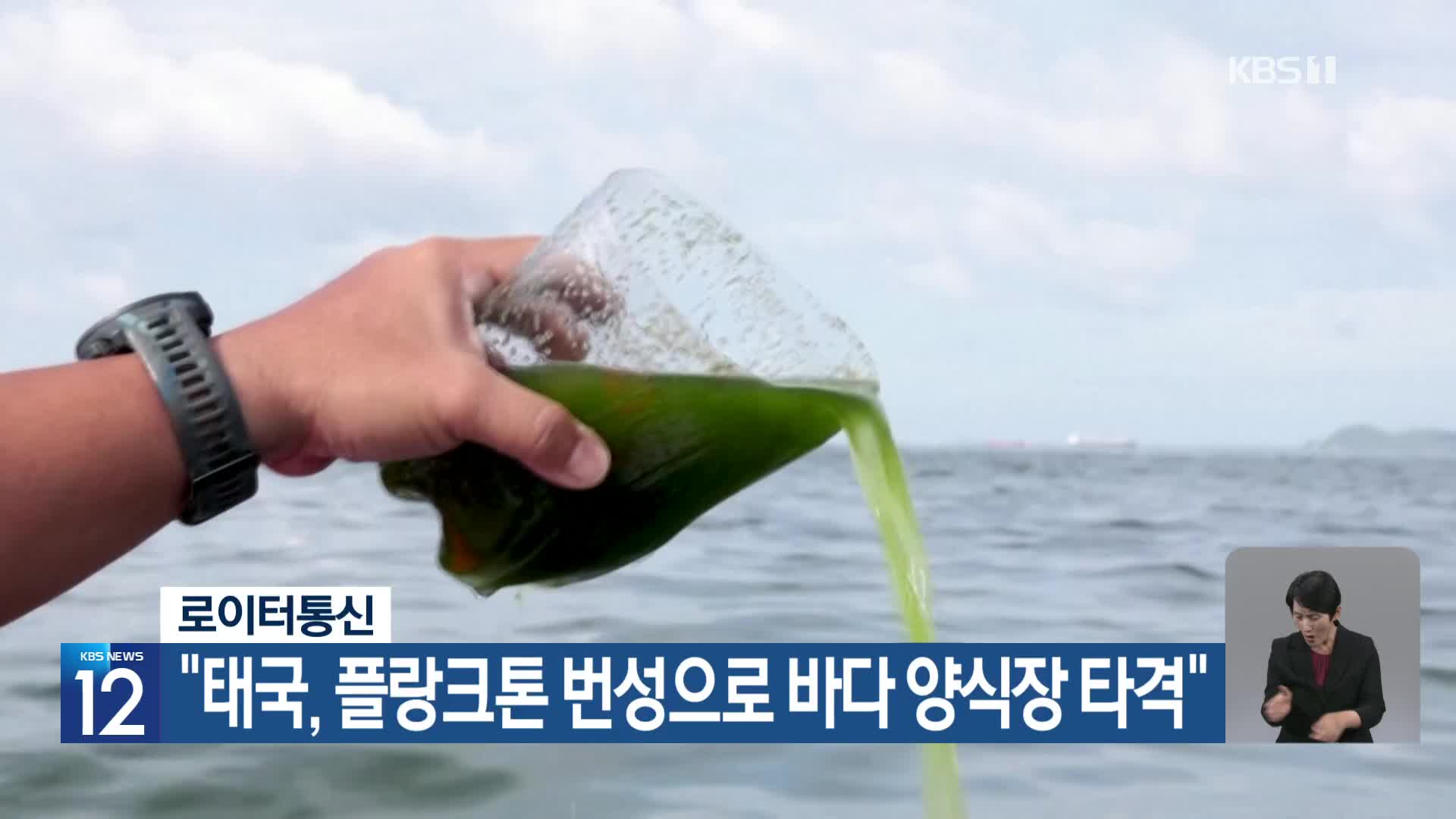 [기후는 말한다] 로이터통신 “태국, 플랑크톤 번성으로 바다 양식장 타격”