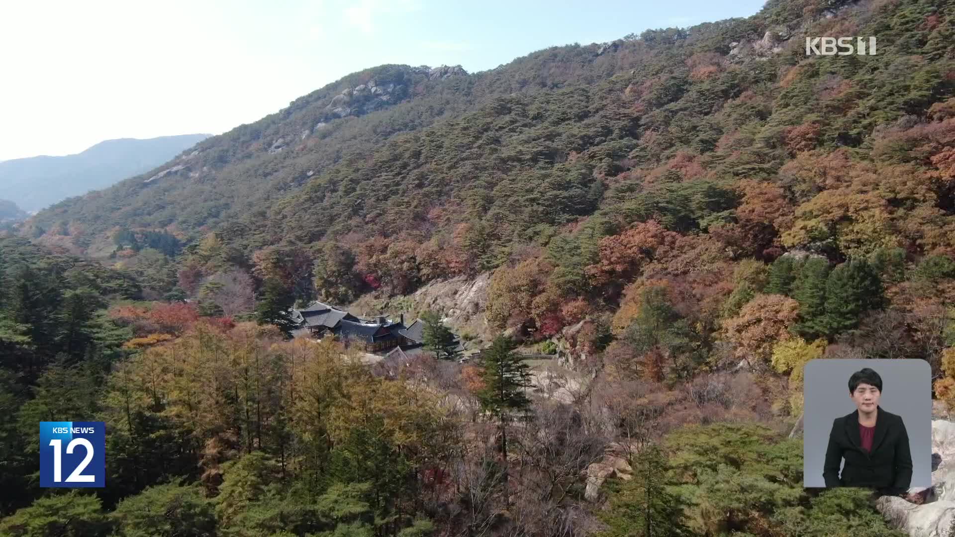 [기후는 말한다] 늦어지고 색감도 안좋은 단풍 …“기후변화 영향”