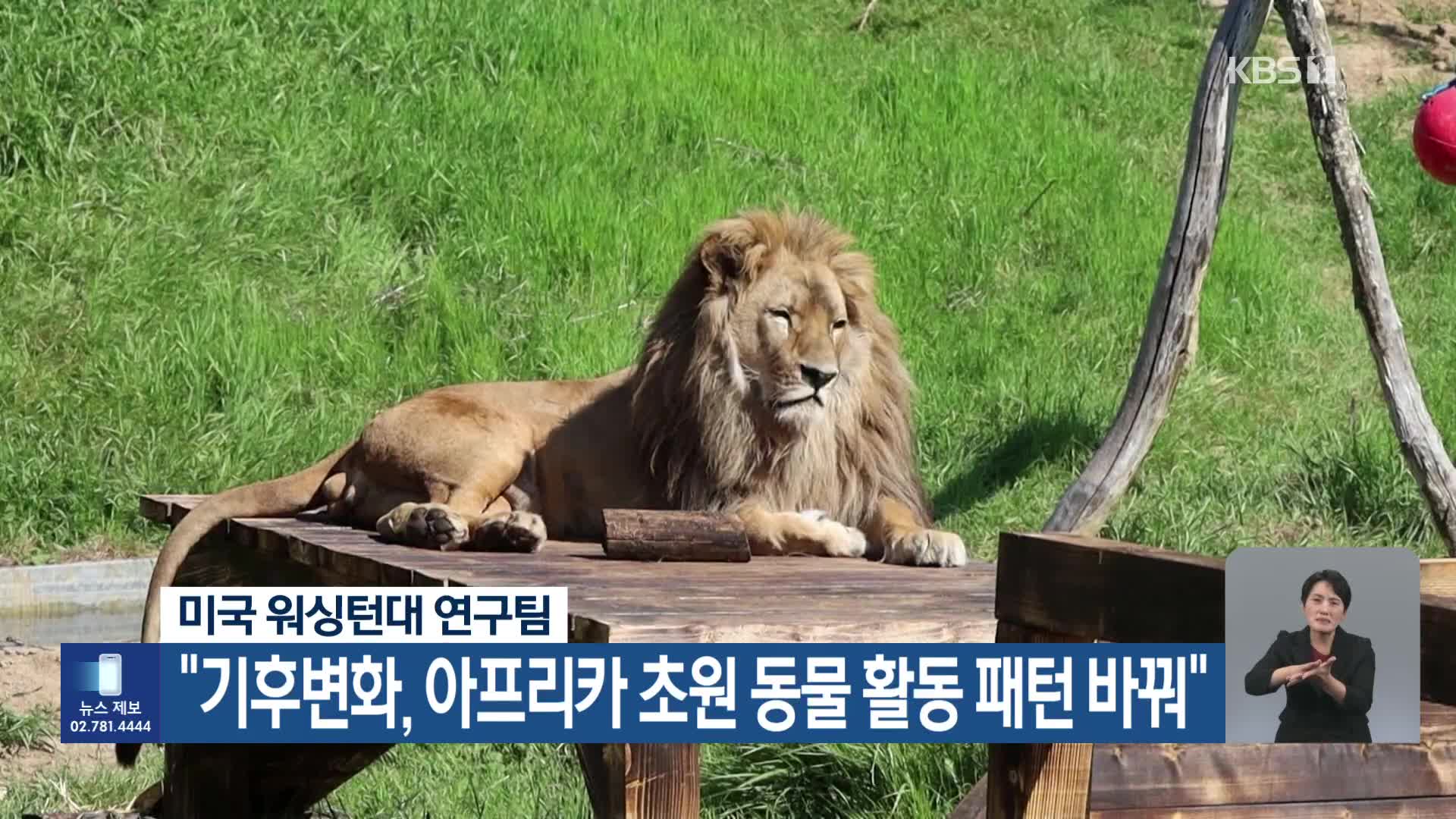 [기후는 말한다] “기후변화, 아프리카 초원 동물 활동 패턴 바꿔”