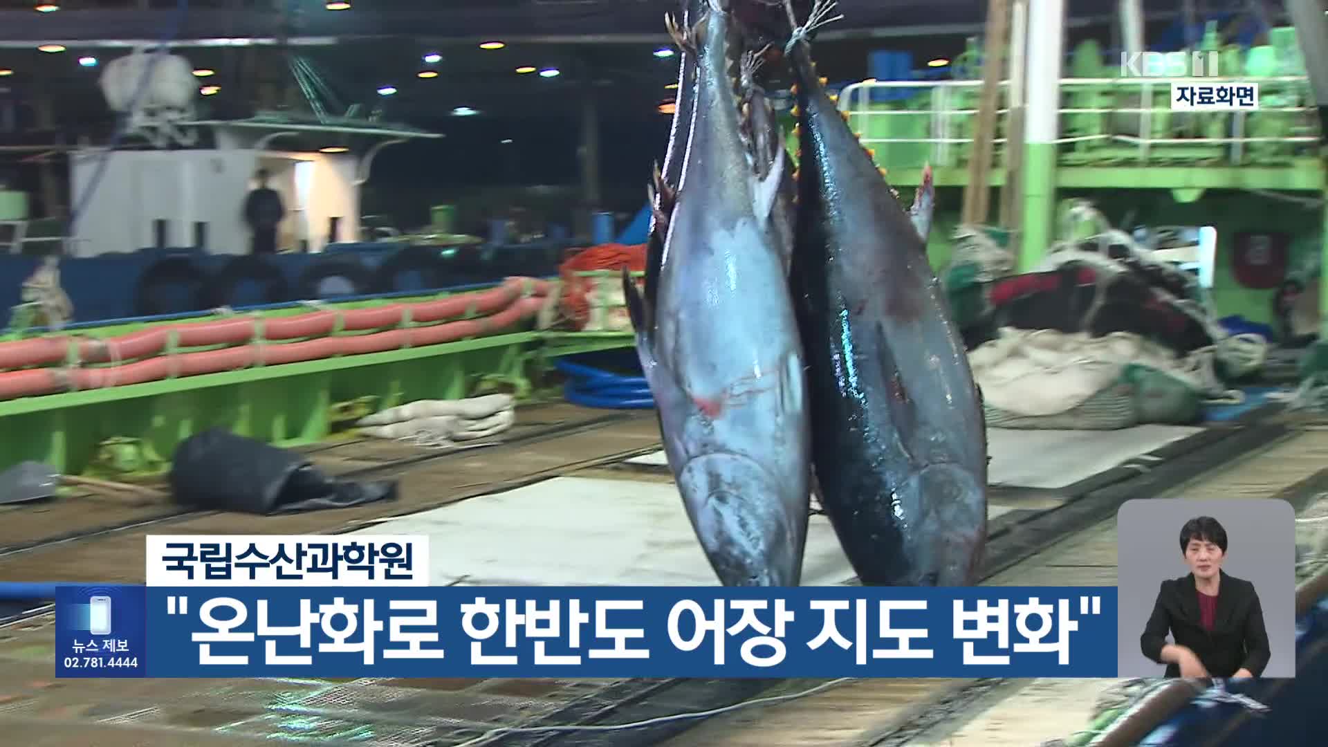 [기후는 말한다] 국립수산과학원 “온난화로 한반도 어장 지도 변화”