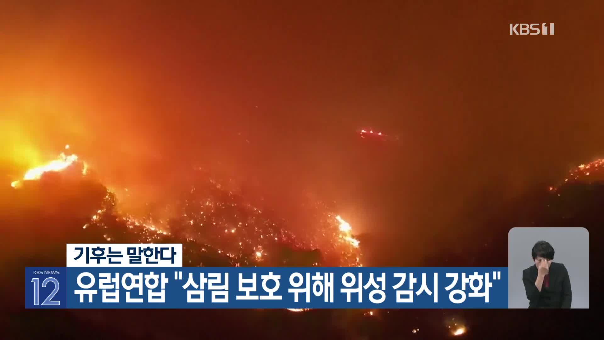 [기후는 말한다] 유럽연합 “삼림 보호 위해 위성 감시 강화”