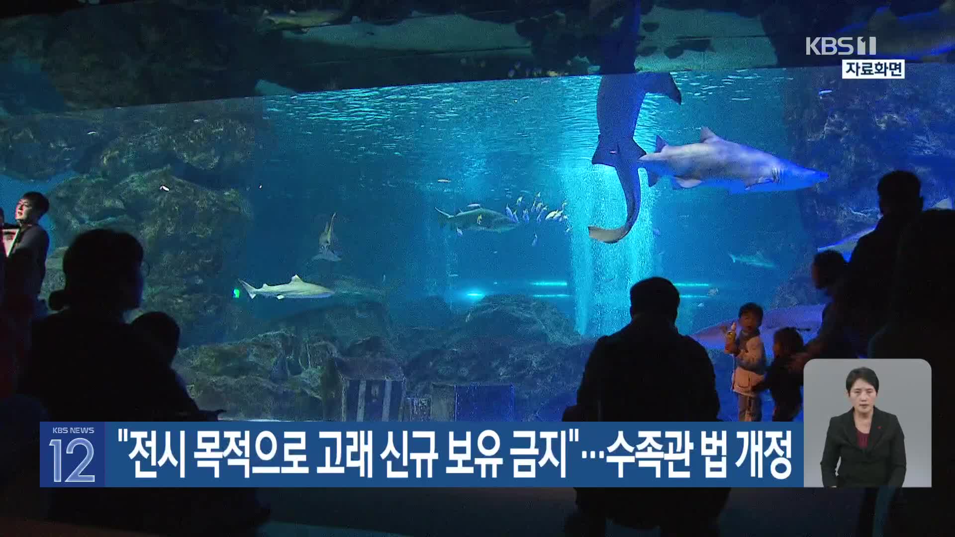 “전시 목적으로 고래 신규 보유 금지”…수족관 법 개정