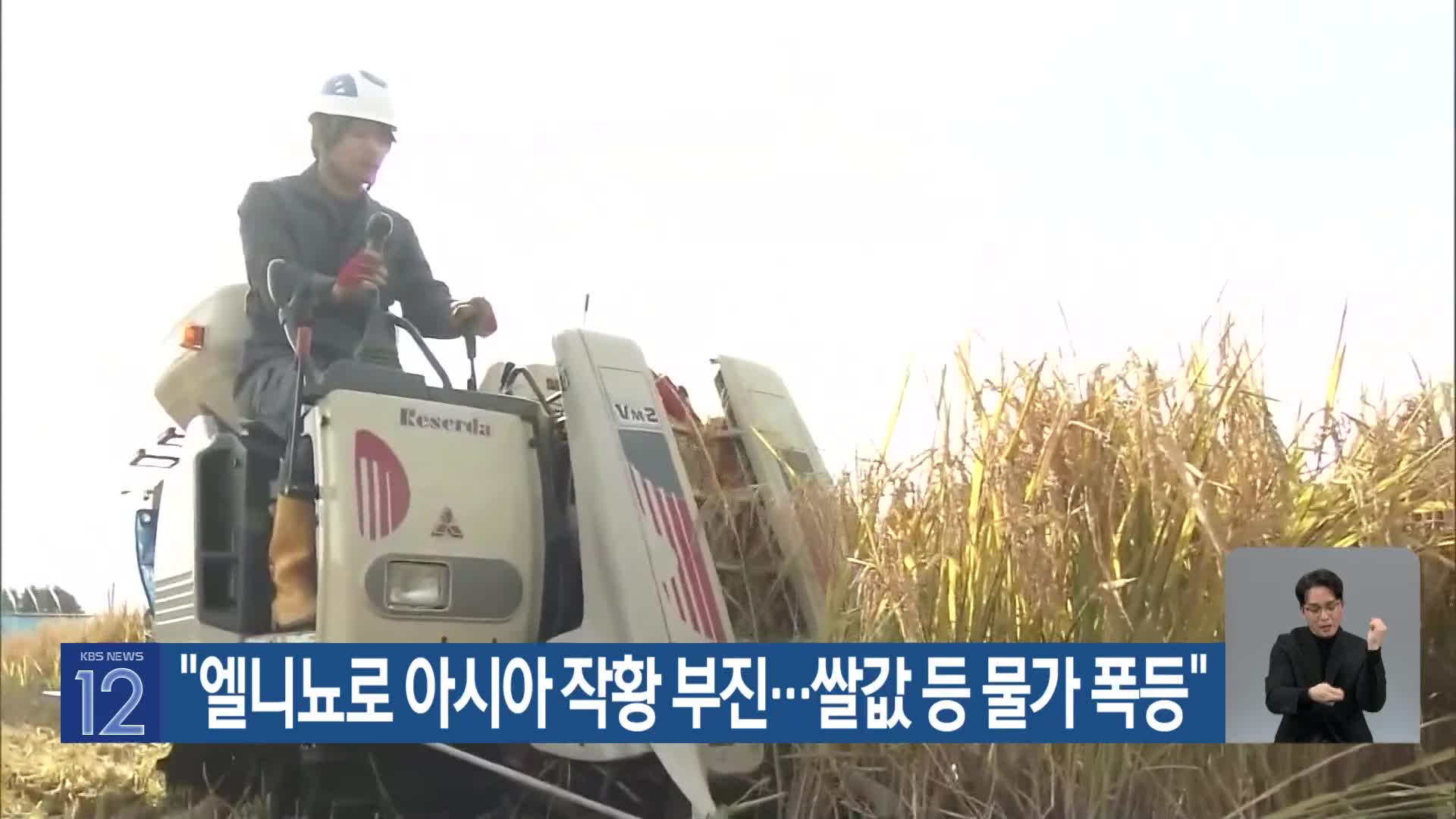 [기후는 말한다] “엘니뇨로 아시아 작황 부진…쌀값 등 물가 폭등”