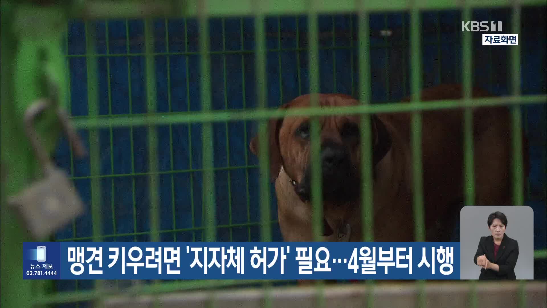 맹견 키우려면 ‘지자체 허가’ 필요…4월부터 시행