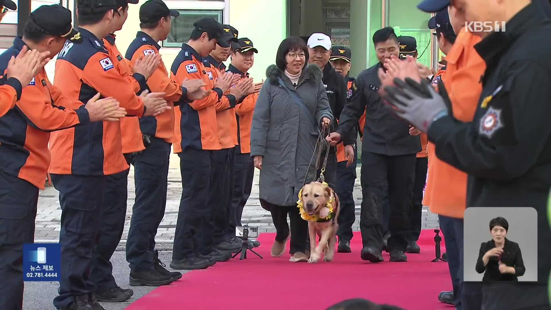 9명 찾아낸 인명구조견 ‘아롱이’, 6년 임무 마치고 은퇴