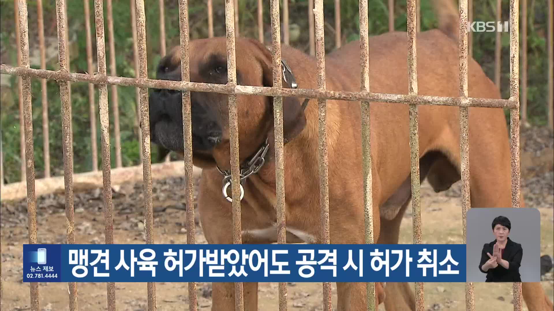 맹견 사육 허가받았어도 공격 시 허가 취소