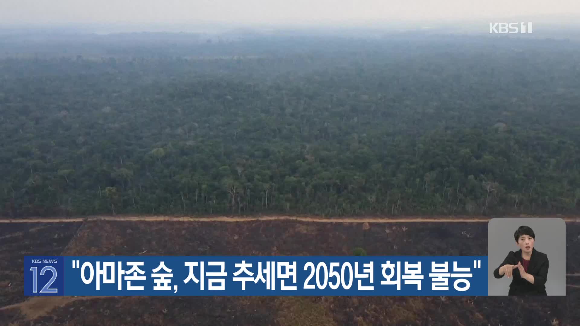 [기후는 말한다] “아마존 숲, 지금 추세면 2050년 회복 불능”