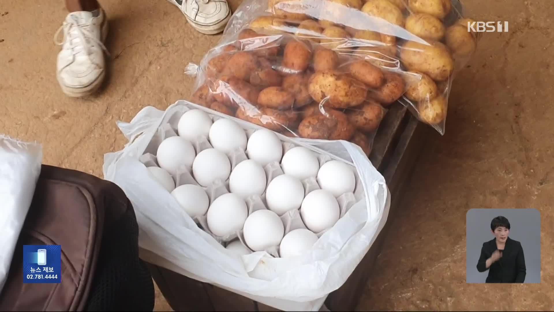 [친절한 뉴스K] “연금으로 달걀 한 판도 못 사”…무너진 쿠바 경제