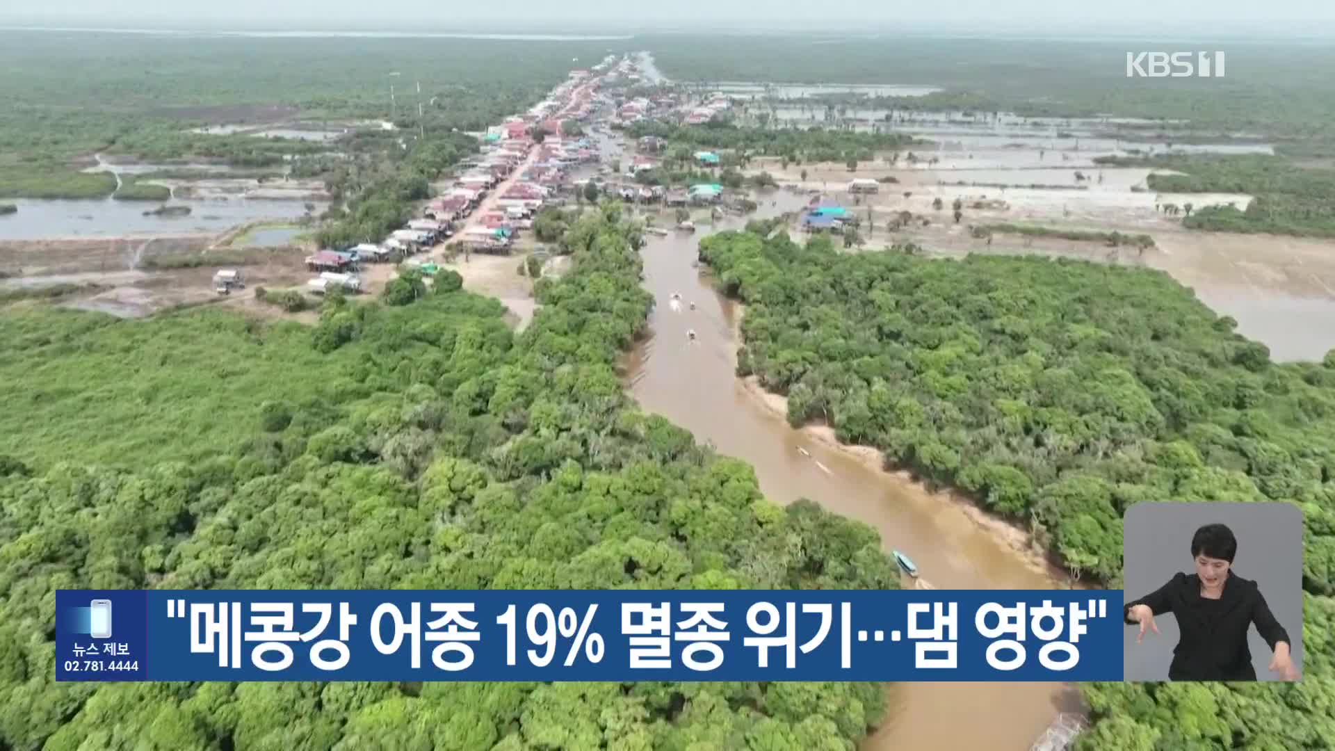 [기후는 말한다] “메콩강 어종 19% 멸종 위기…댐 영향”