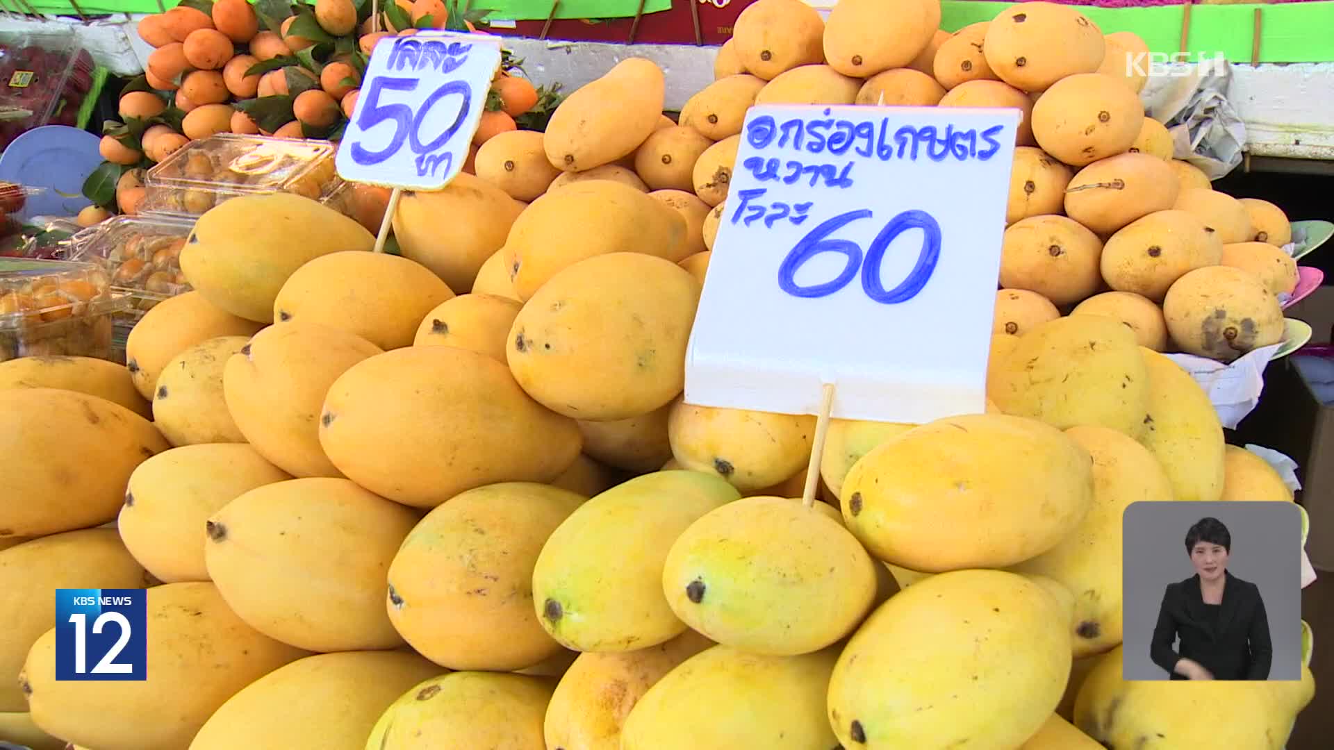 태국은 망고가 1/4 가격…수입 과일 아직 비싼 이유는?