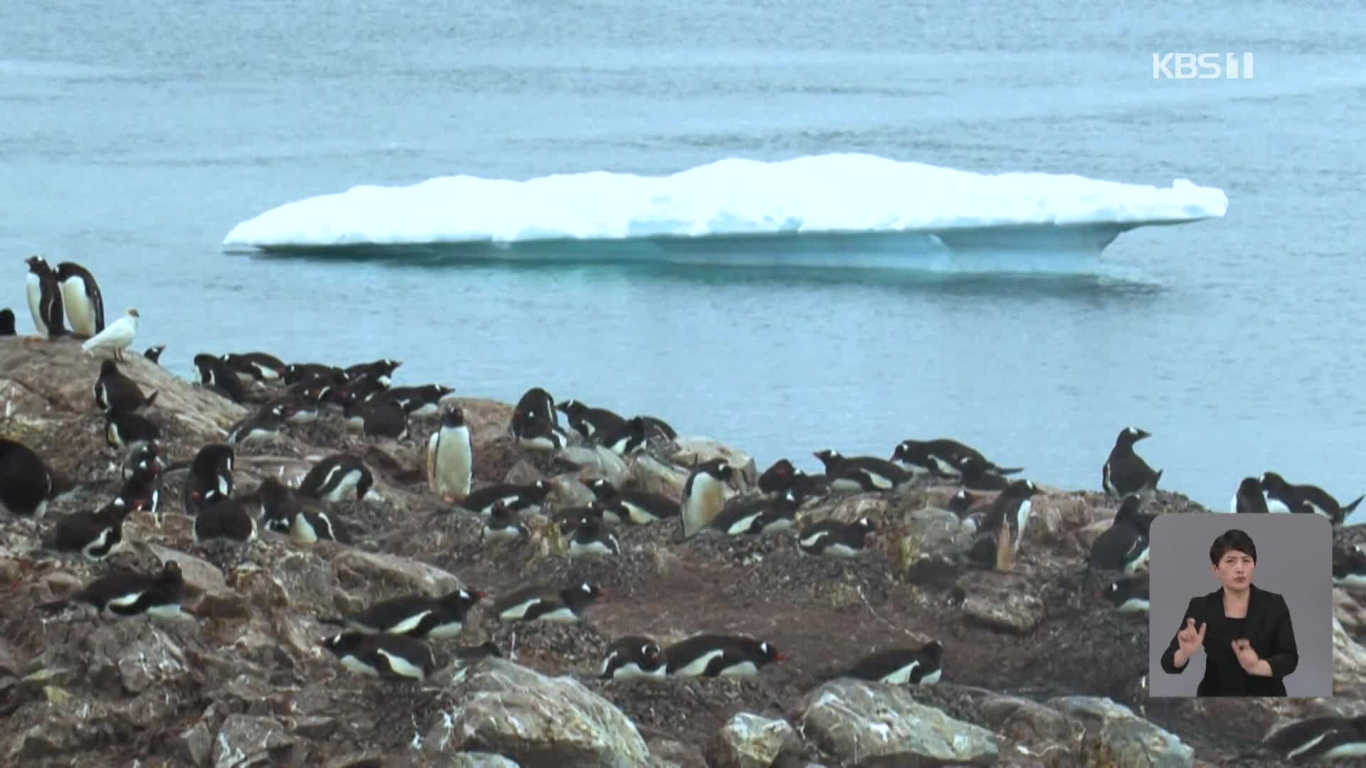 [기후는 말한다] 북극 이어 남극 소용돌이도 ‘와르르’…해빙이 녹는다