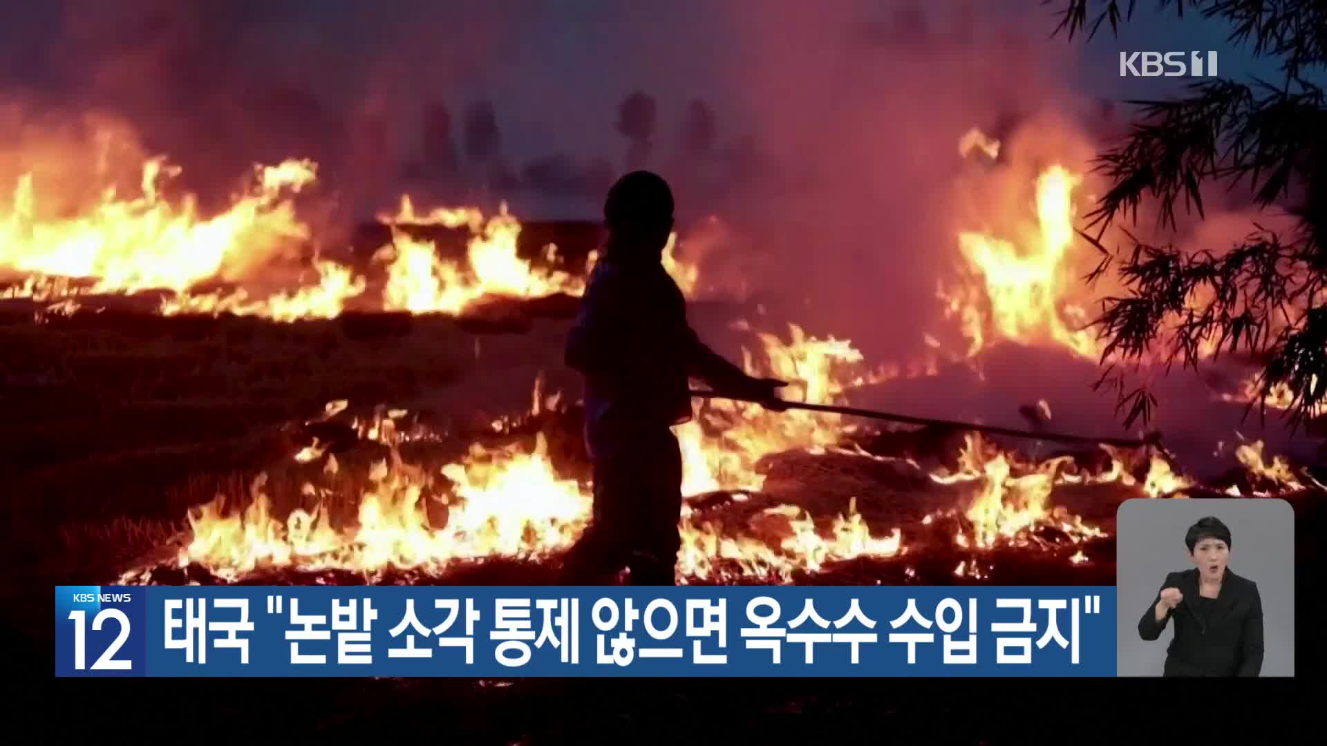 [기후는 말한다] 태국 “논밭 소각 통제 않으면 옥수수 수입 금지”