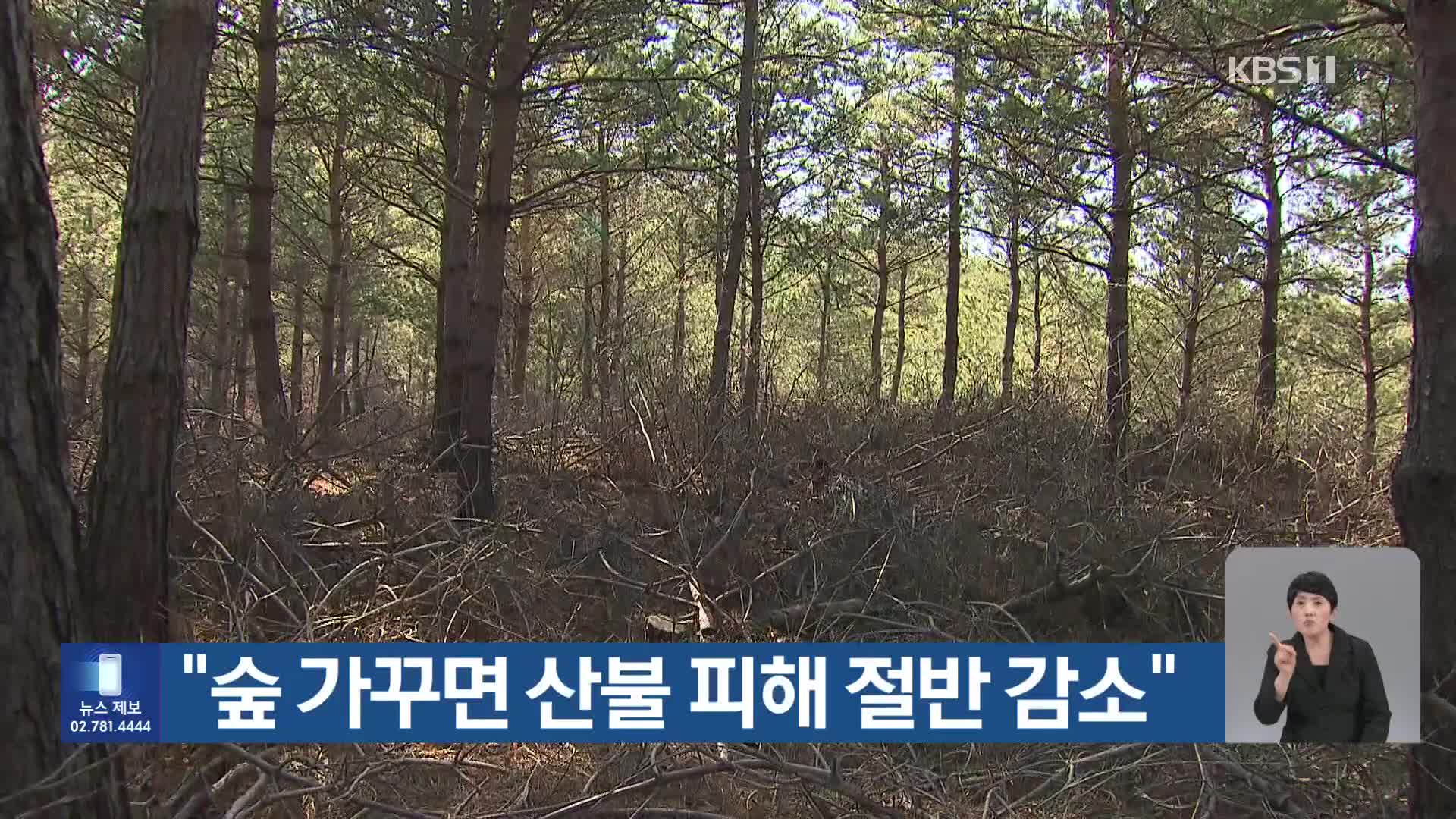 [기후는 말한다] “숲 가꾸면 산불 피해 절반 감소”