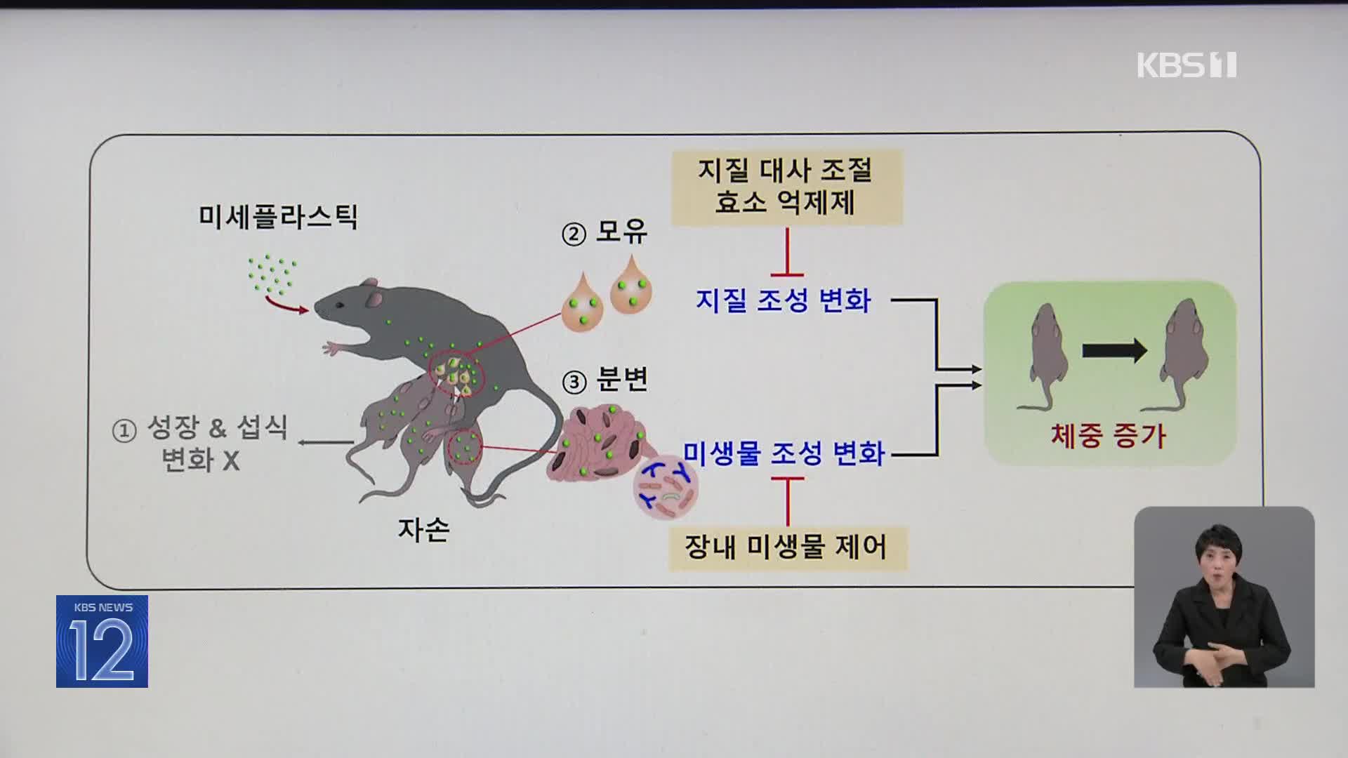 [기후는 말한다] 초미세플라스틱, 모유 통해 자녀 비만 초래!