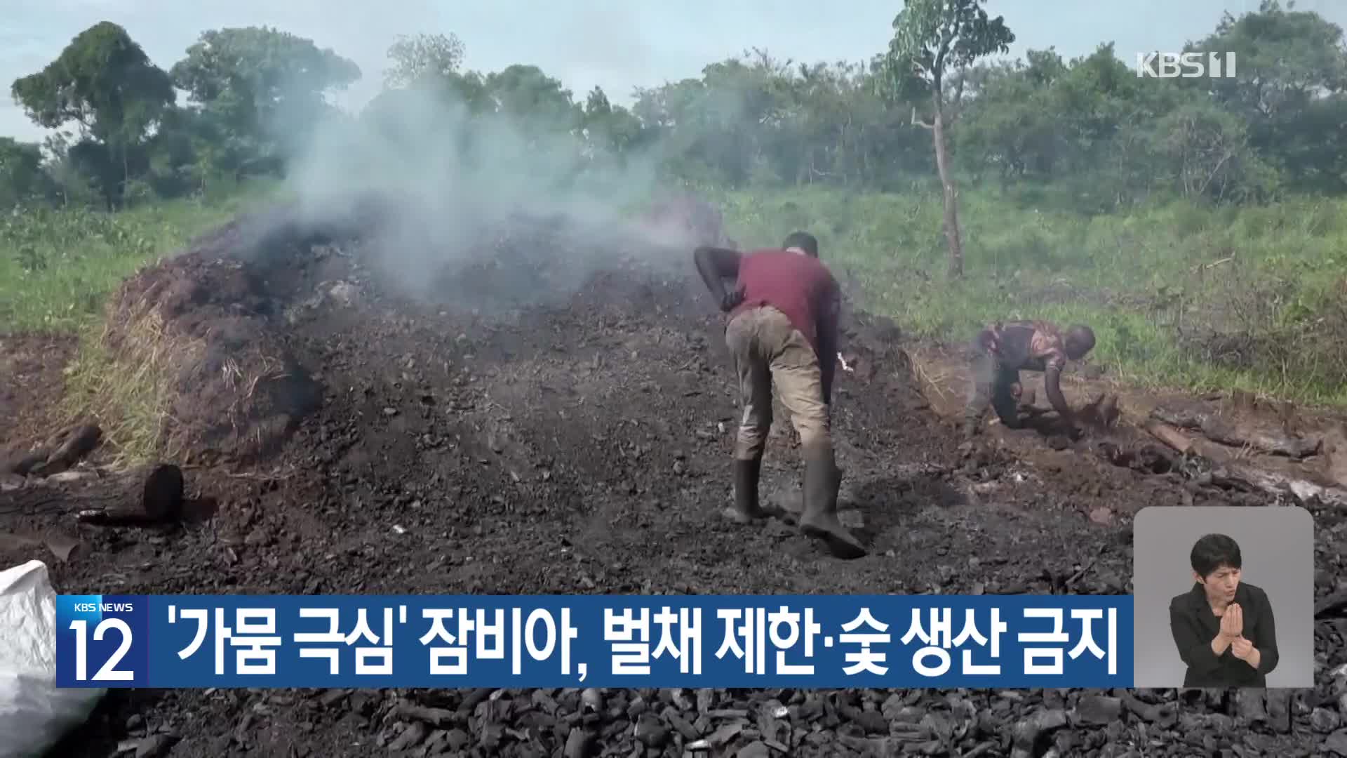 [기후는 말한다] ‘가뭄 극심’ 잠비아, 벌채 제한·숯 생산 금지