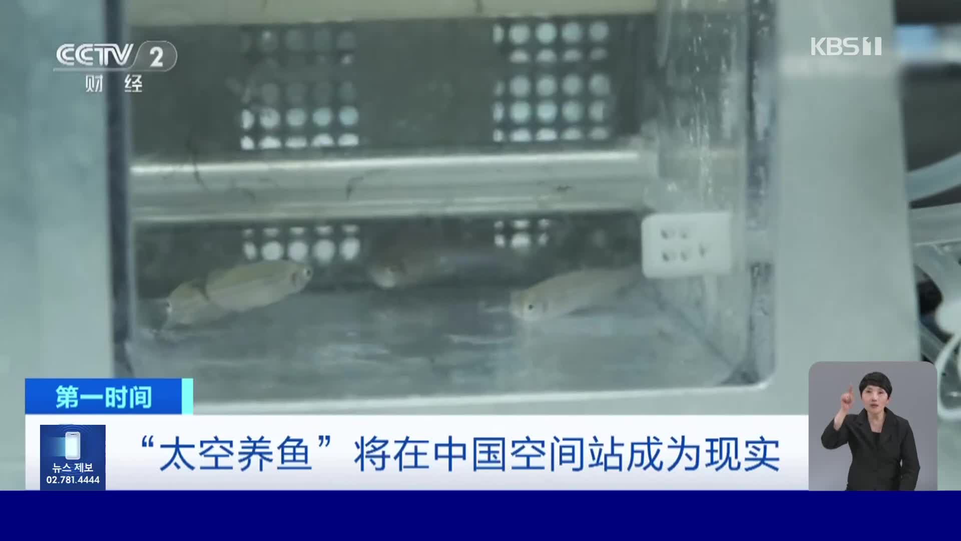 중국, 무중력 우주에서 물고기 키우기
