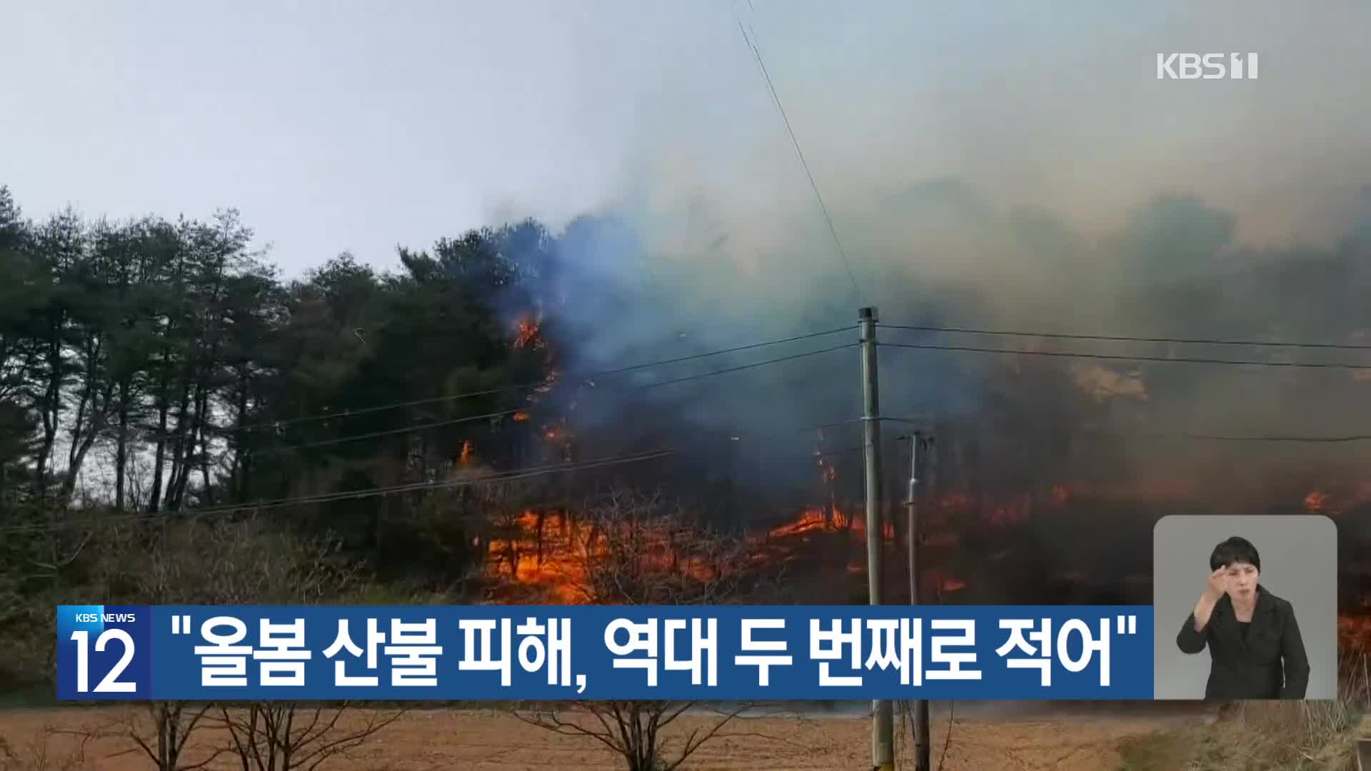 [기후는 말한다] “올봄 산불 피해, 역대 두 번째로 적어”