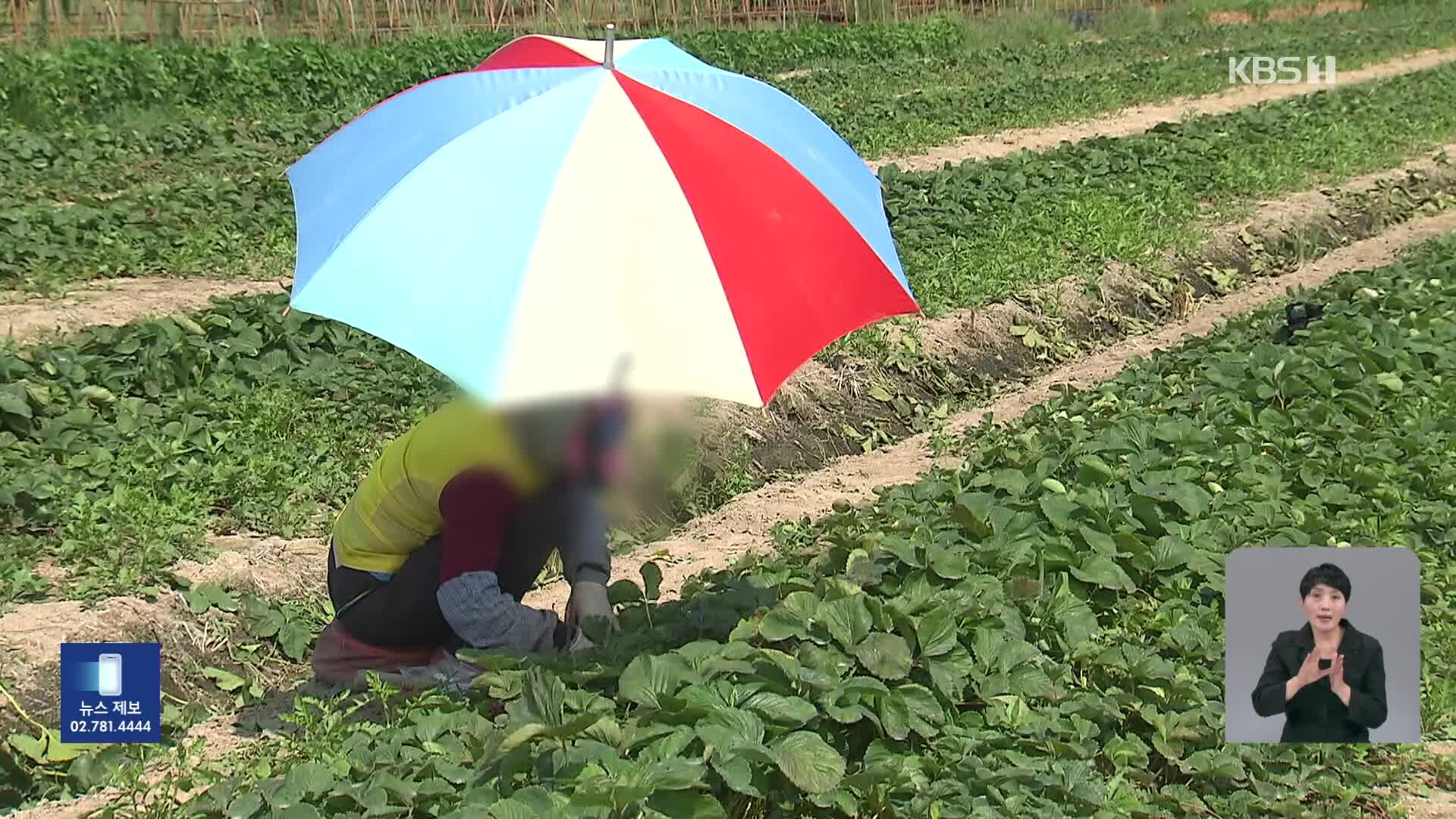 [기후는 말한다] 예년보다 이른 무더위에 ‘온열질환’ 급증