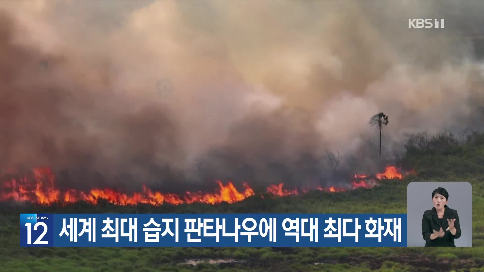 [기후는 말한다] 세계 최대 습지 판타나우에 역대 최다 화재