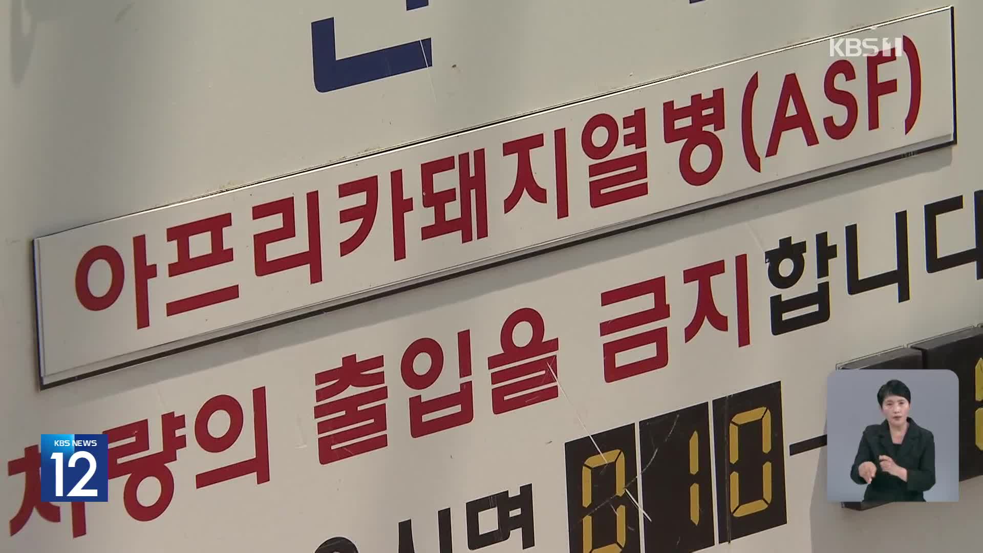 경북 영천서 아프리카돼지열병 발병…차단 방역 ‘안간힘’
