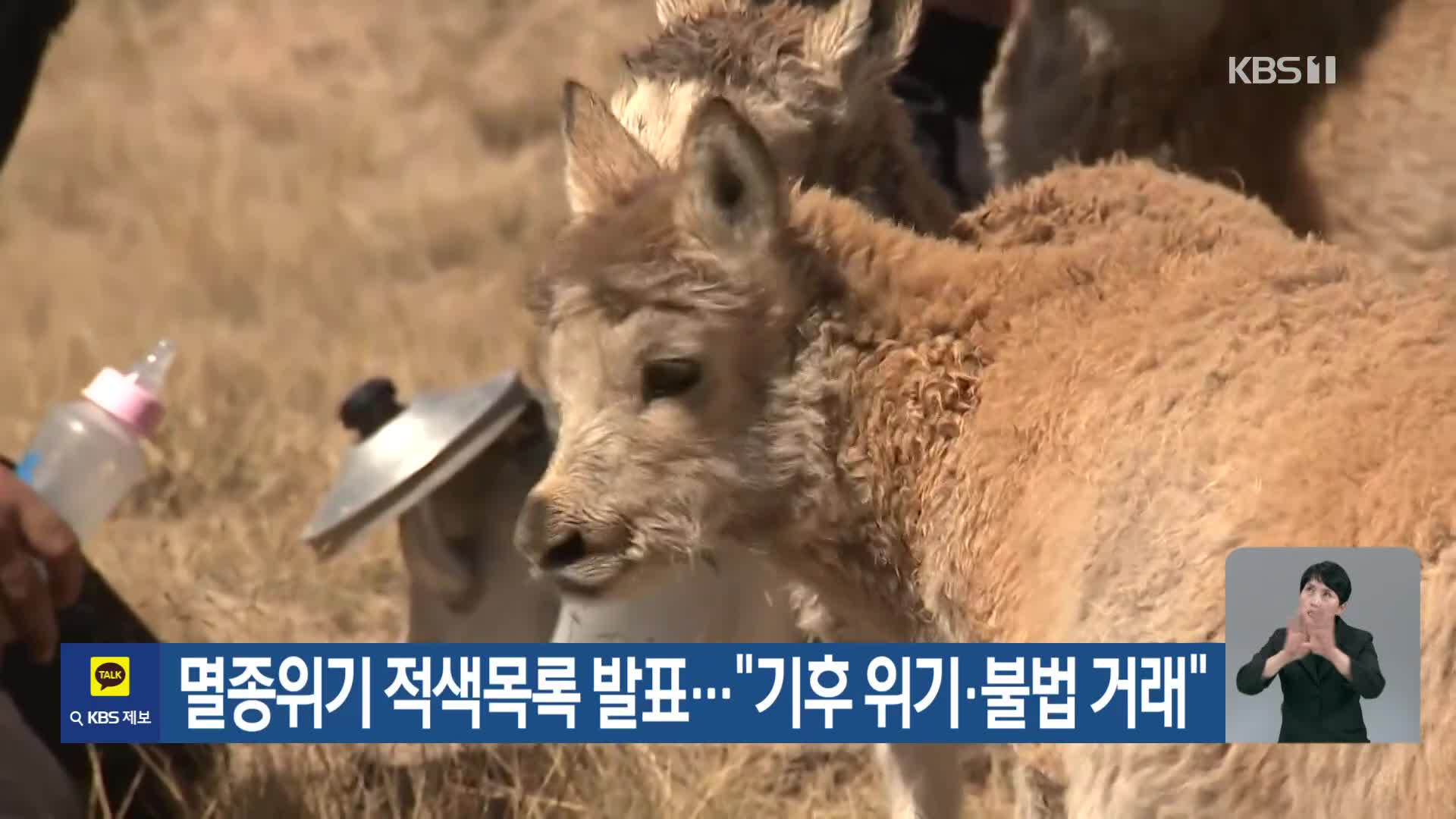 [기후는 말한다] 멸종위기 적색목록 발표…“기후 위기·불법 거래”