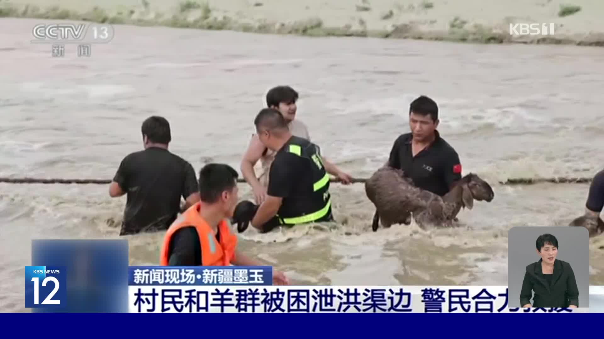 중국, 불어난 물에 고립된 양 떼 구조 소동