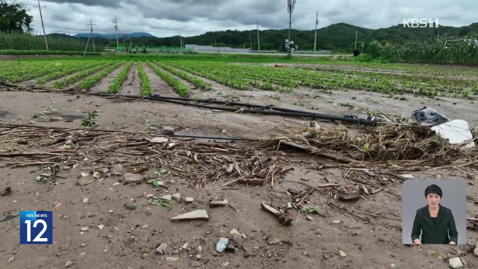 수확 앞둔 농작물 피해 눈덩이…도로 통제 등 피해 잇따라