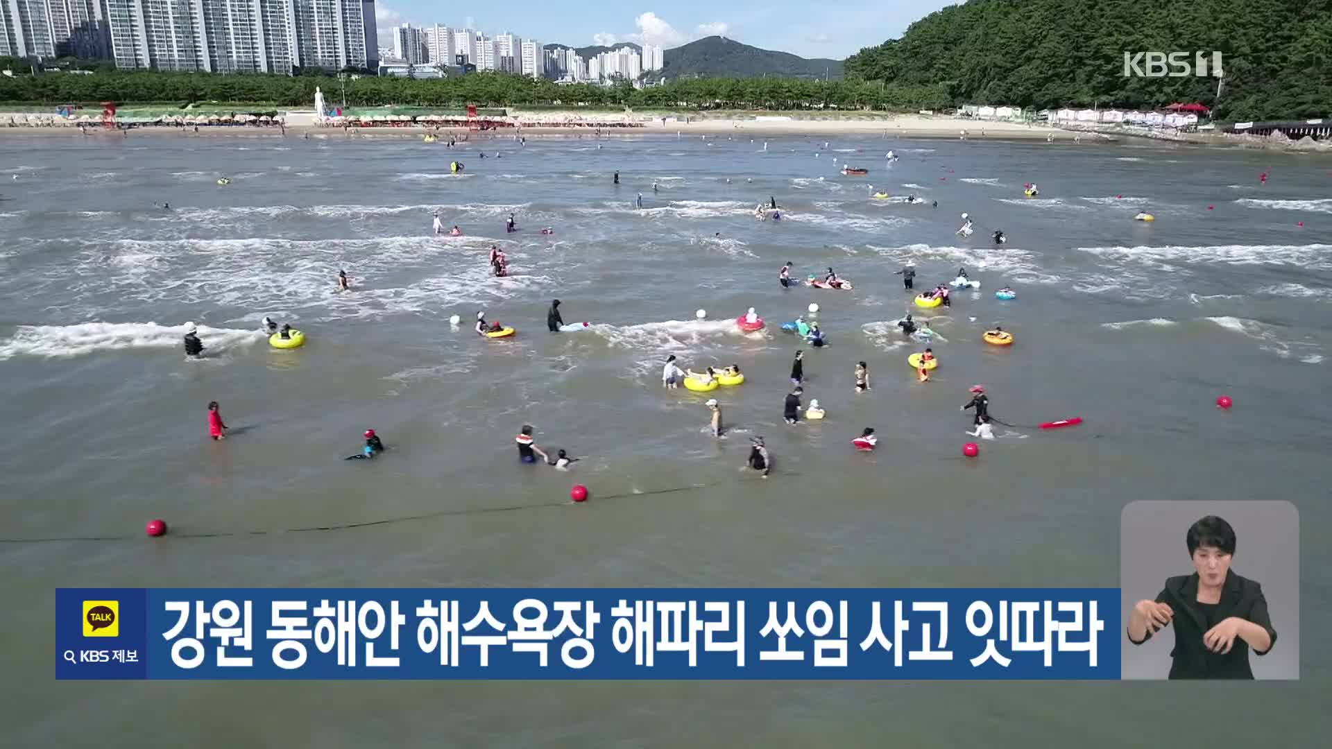 [기후는 말한다] 강원 동해안 해수욕장 해파리 쏘임 사고 잇따라