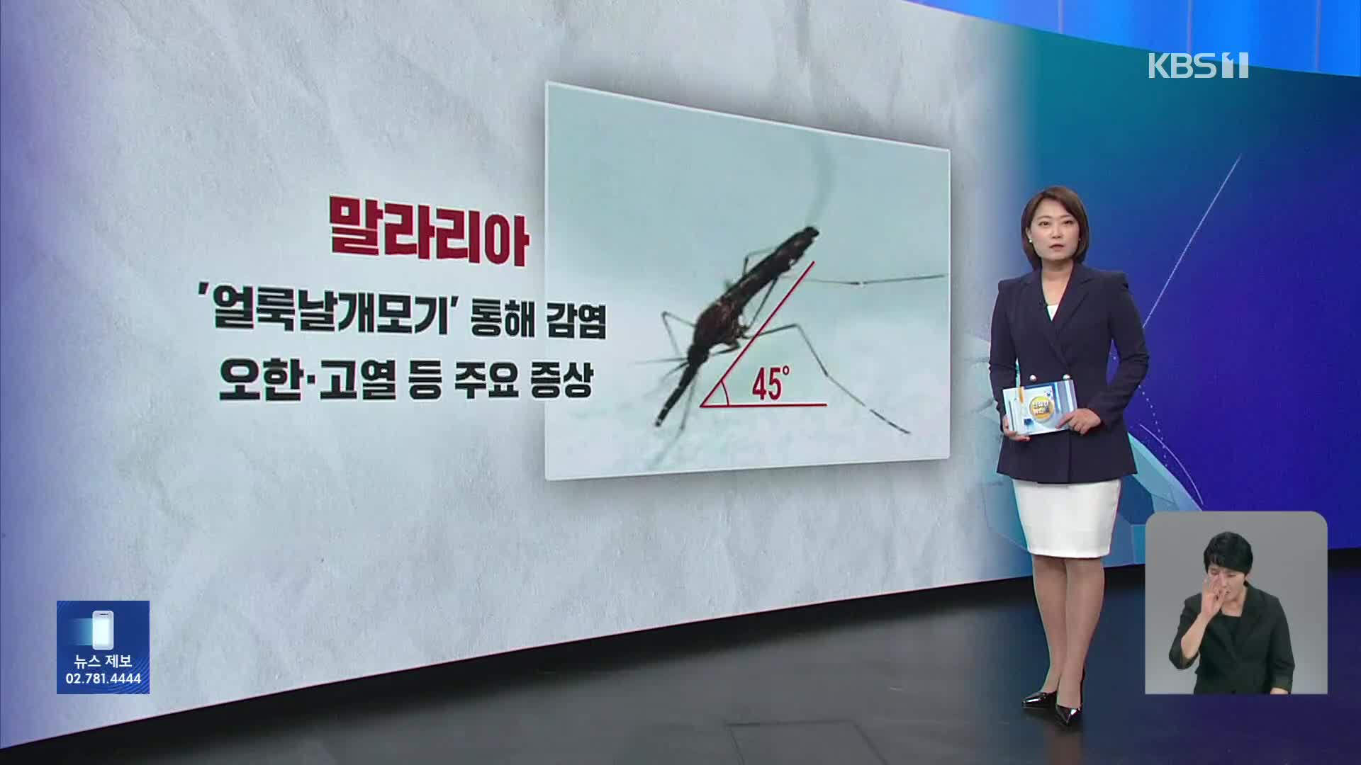 서울서 2번째 말라리아 경보…폭염 탓 모기 급증 [친절한 뉴스K]