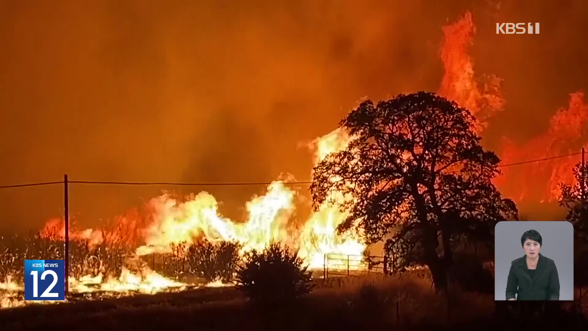 미 캘리포니아 북부 산불 확산…“역대 7번째 규모”